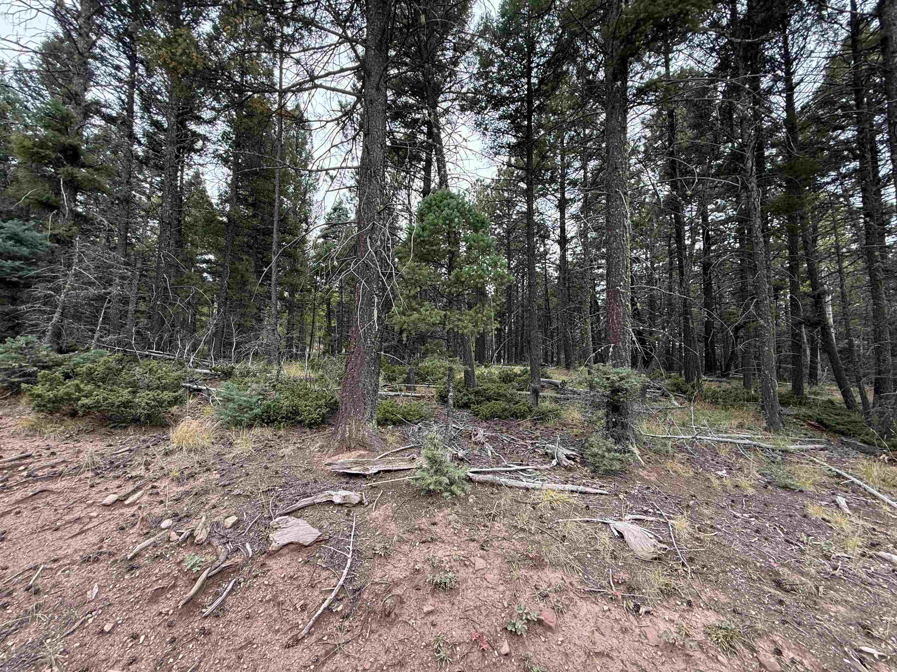Lot 174 Snowbird Ln