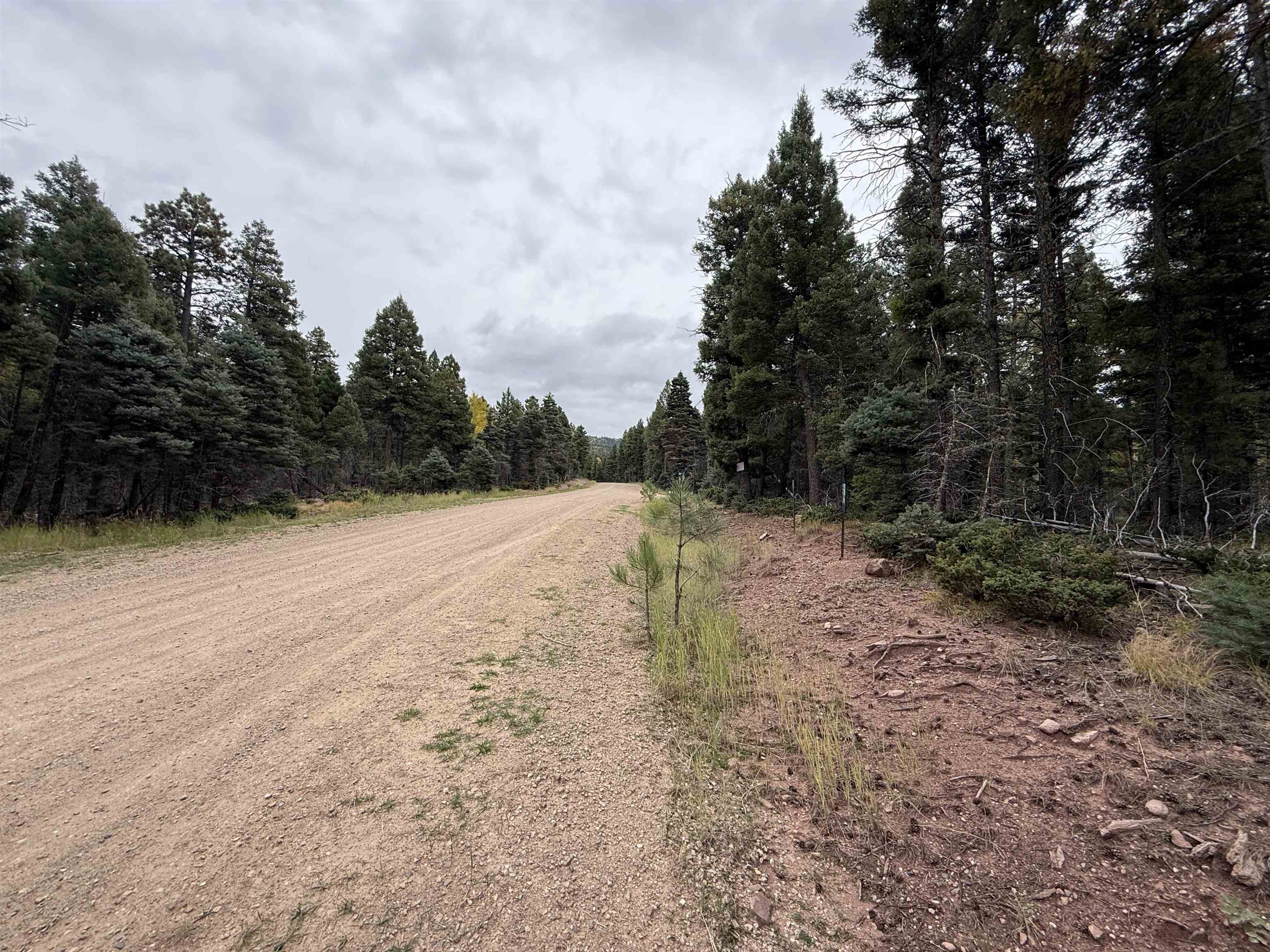 Lot 174 Snowbird Ln