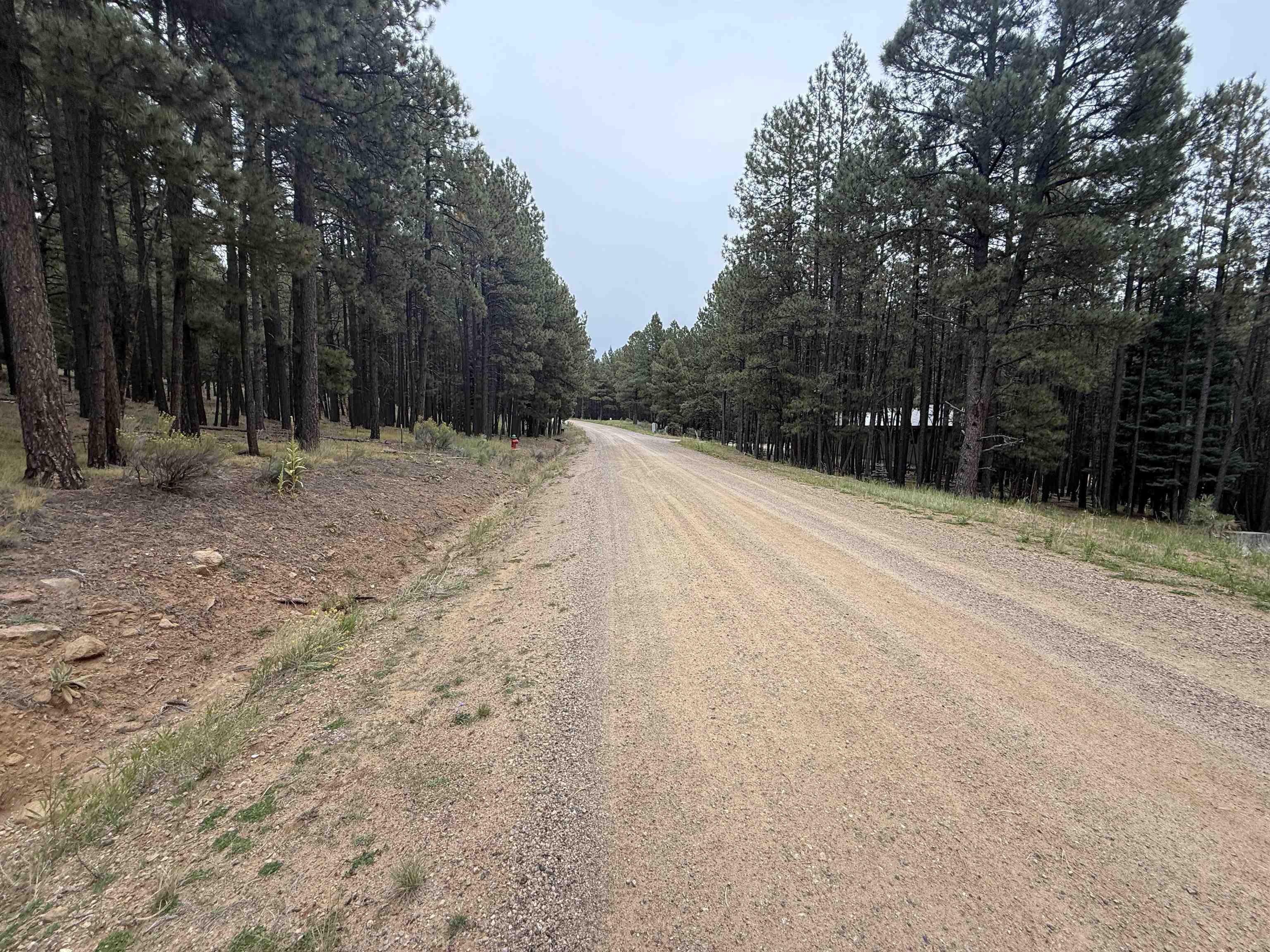 Lot 115 San Juan Dr