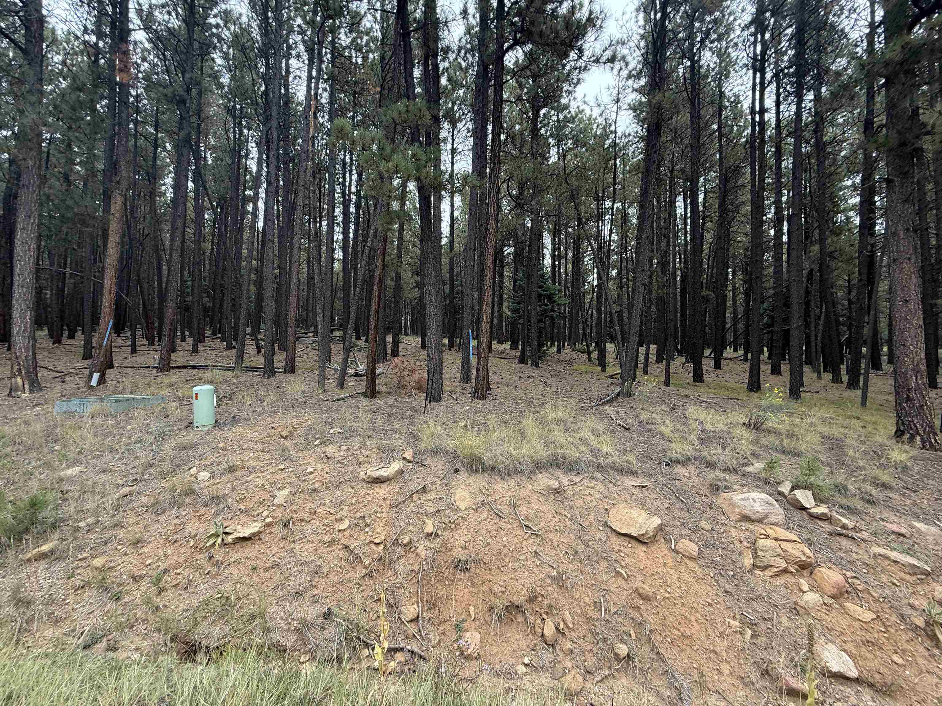 Lot 115 San Juan Dr