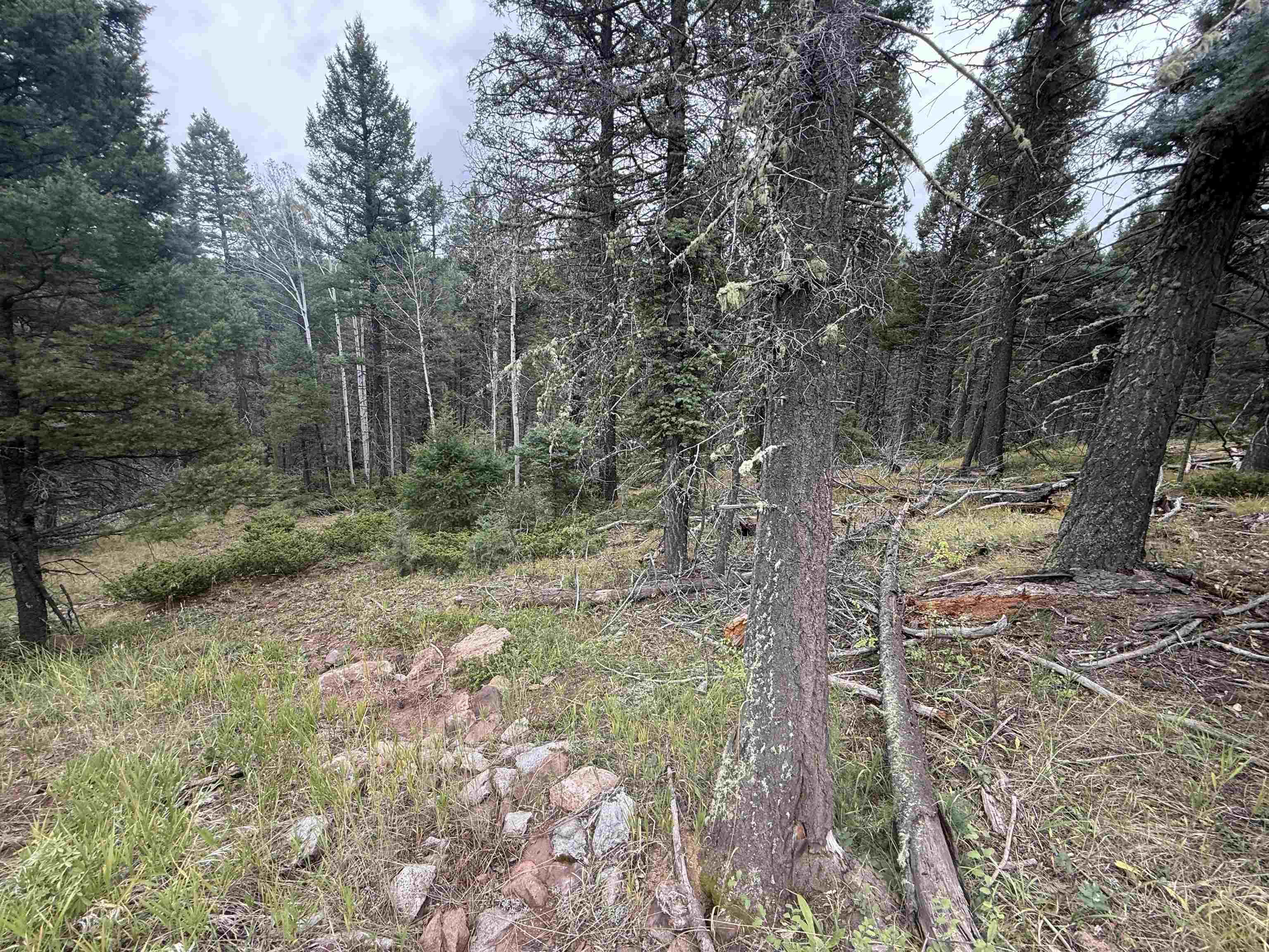 Lot 256 Back Basin Rd