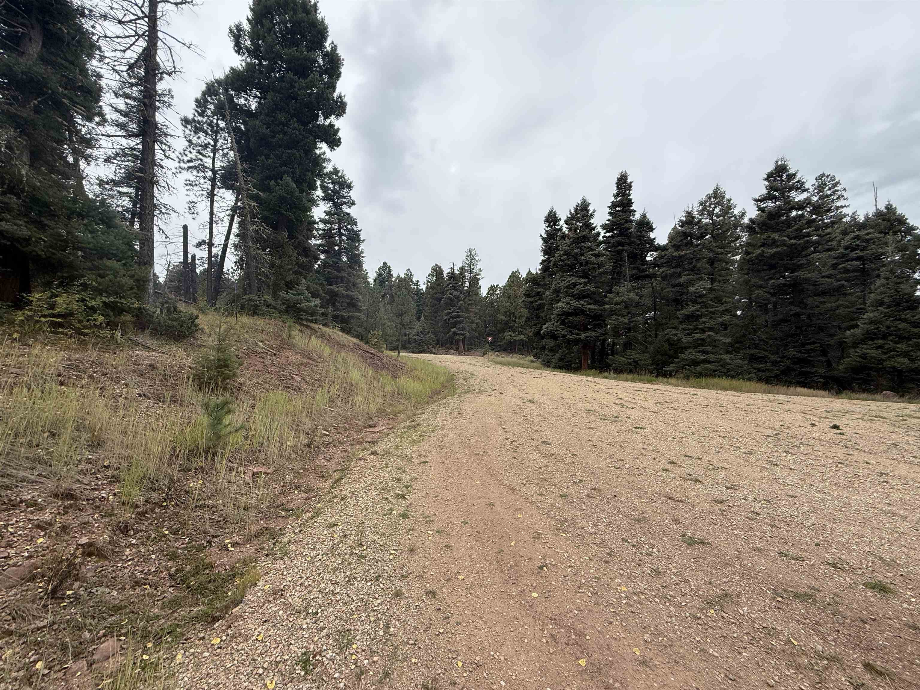 Lot 256 Back Basin Rd