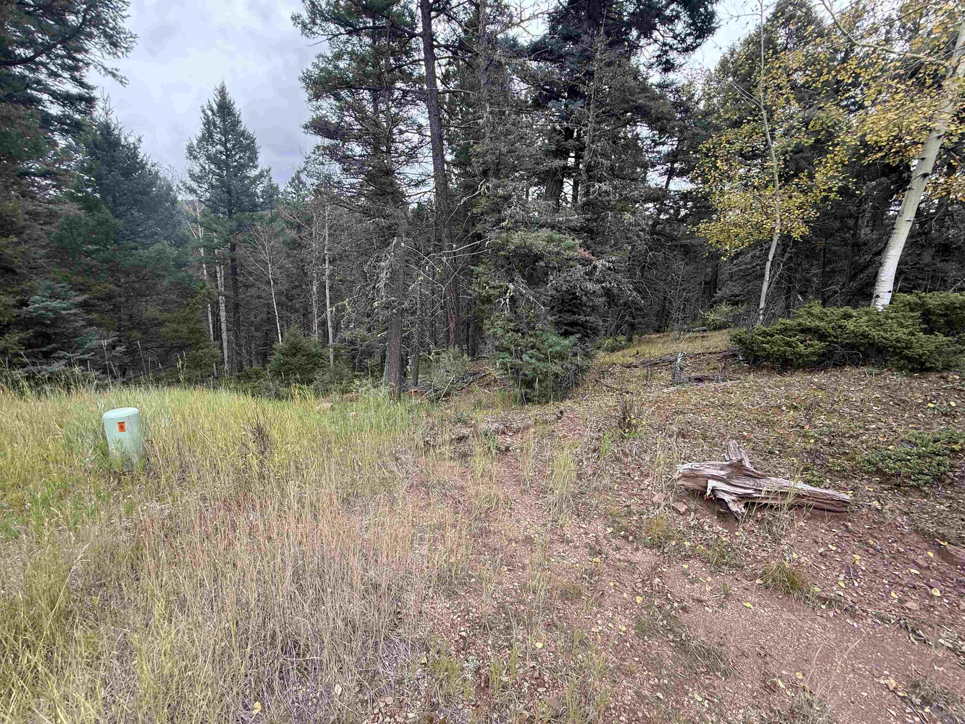 Lot 256 Back Basin Rd