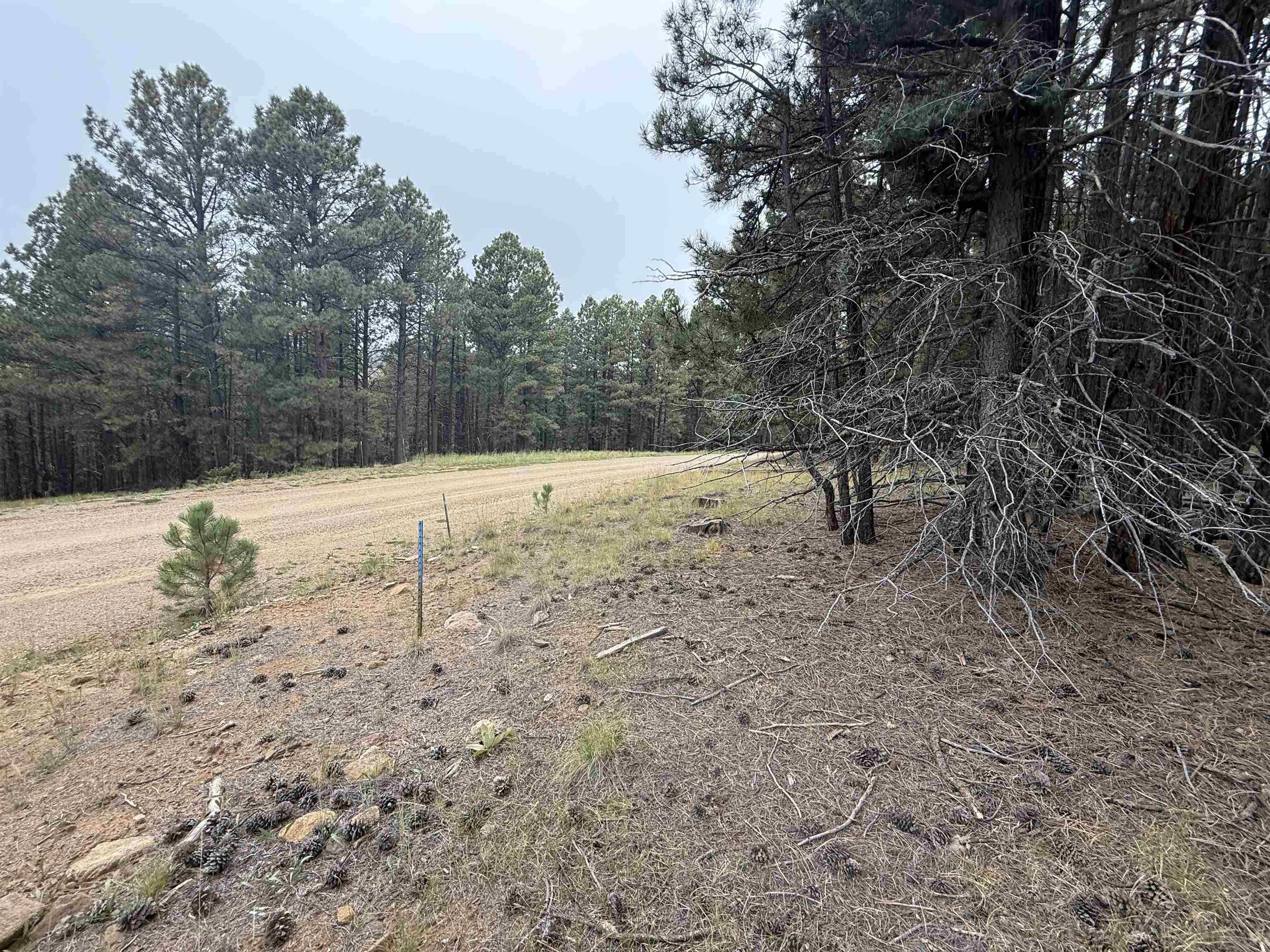Lot 106 San Juan Dr