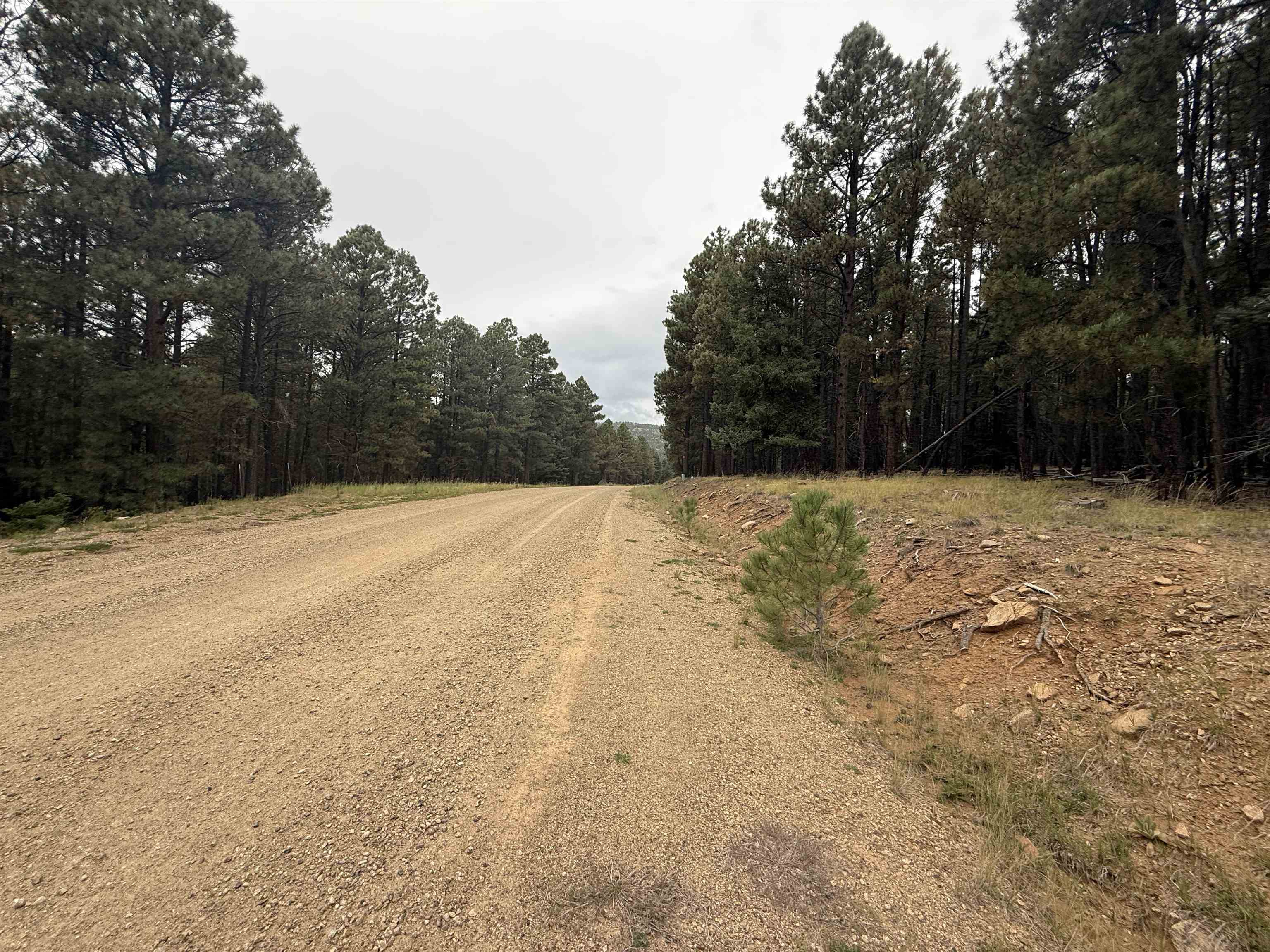 Lot 106 San Juan Dr