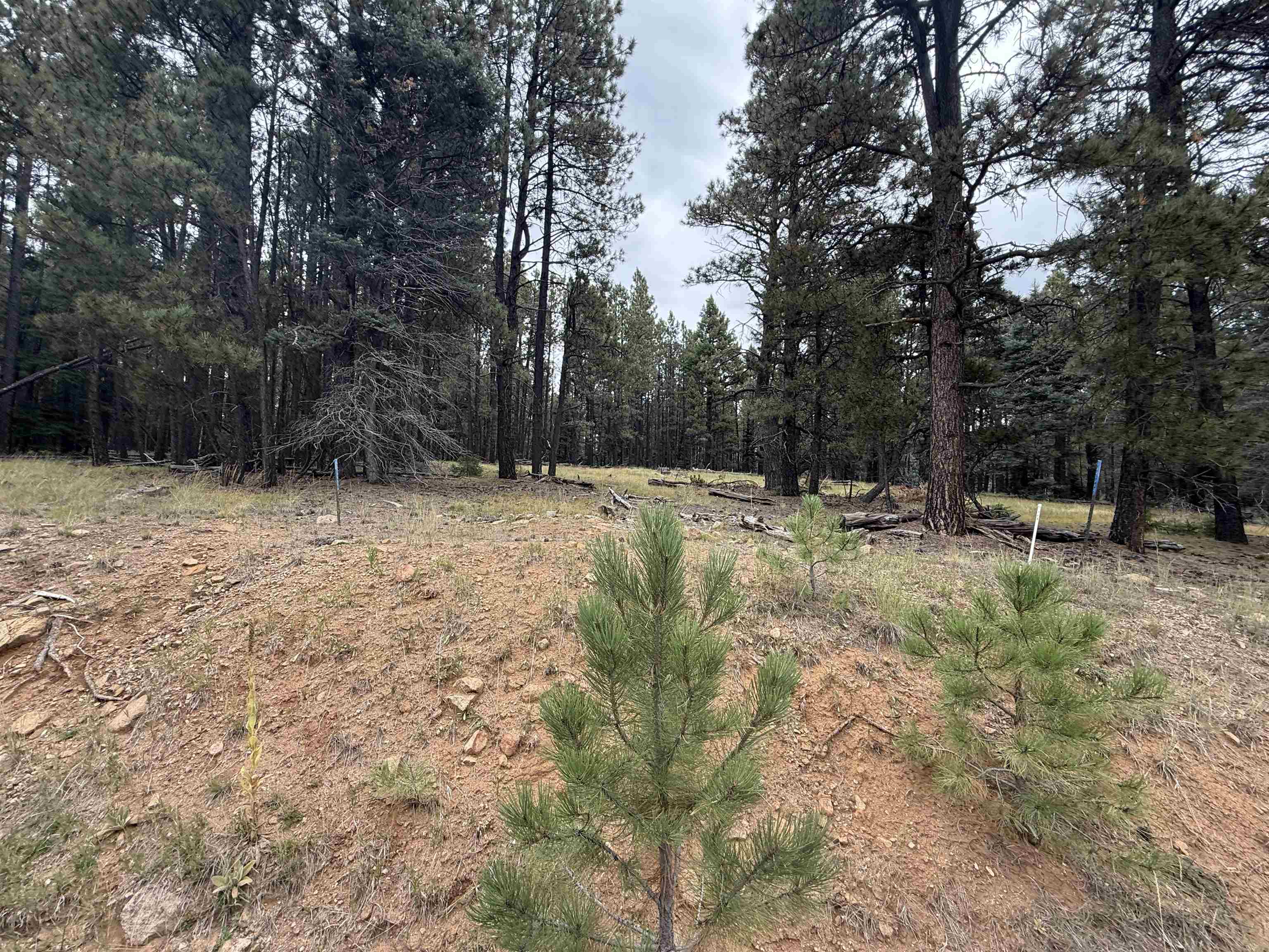 Lot 106 San Juan Dr