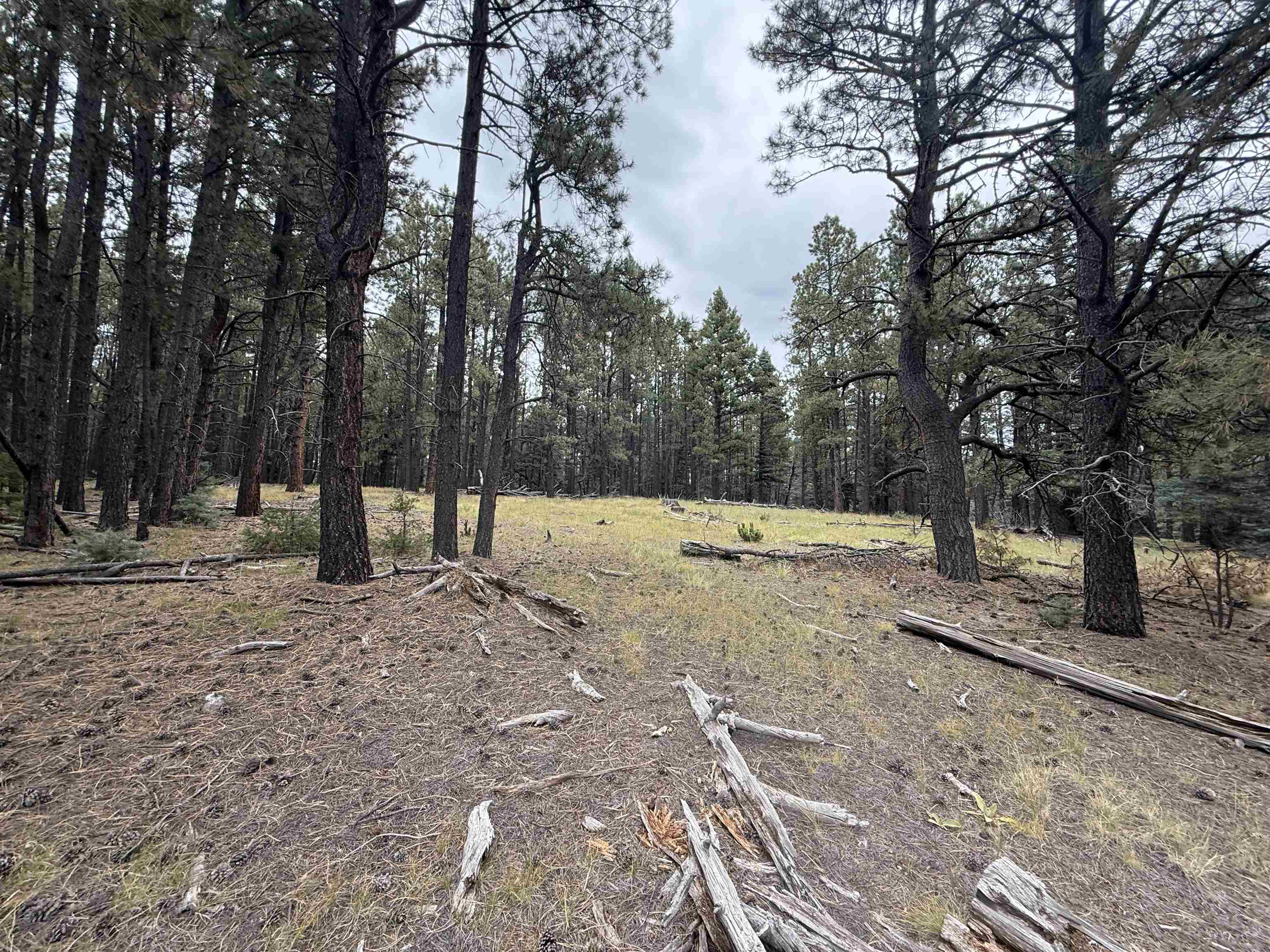 Lot 106 San Juan Dr