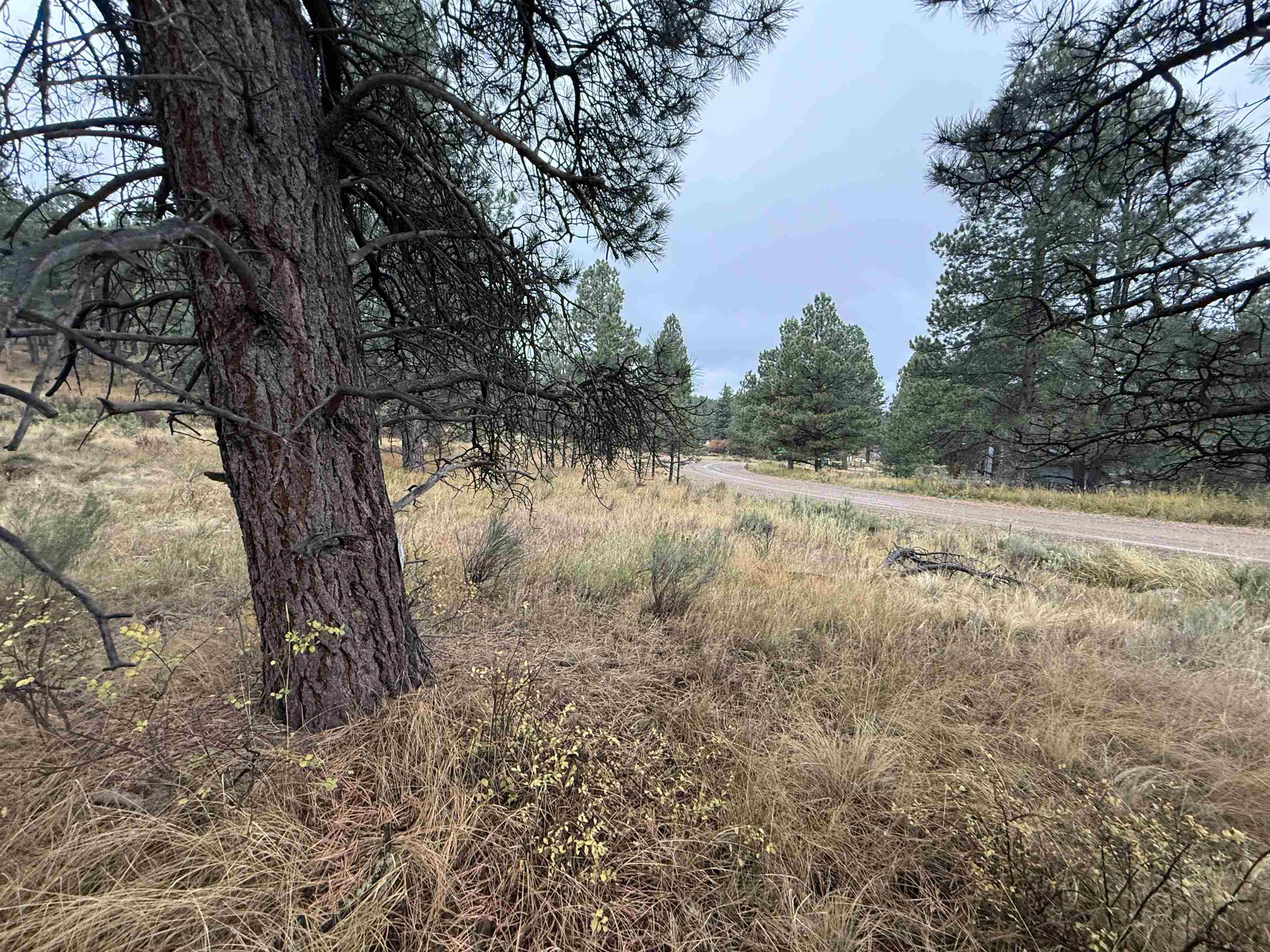 Lot 83 Alta Rd