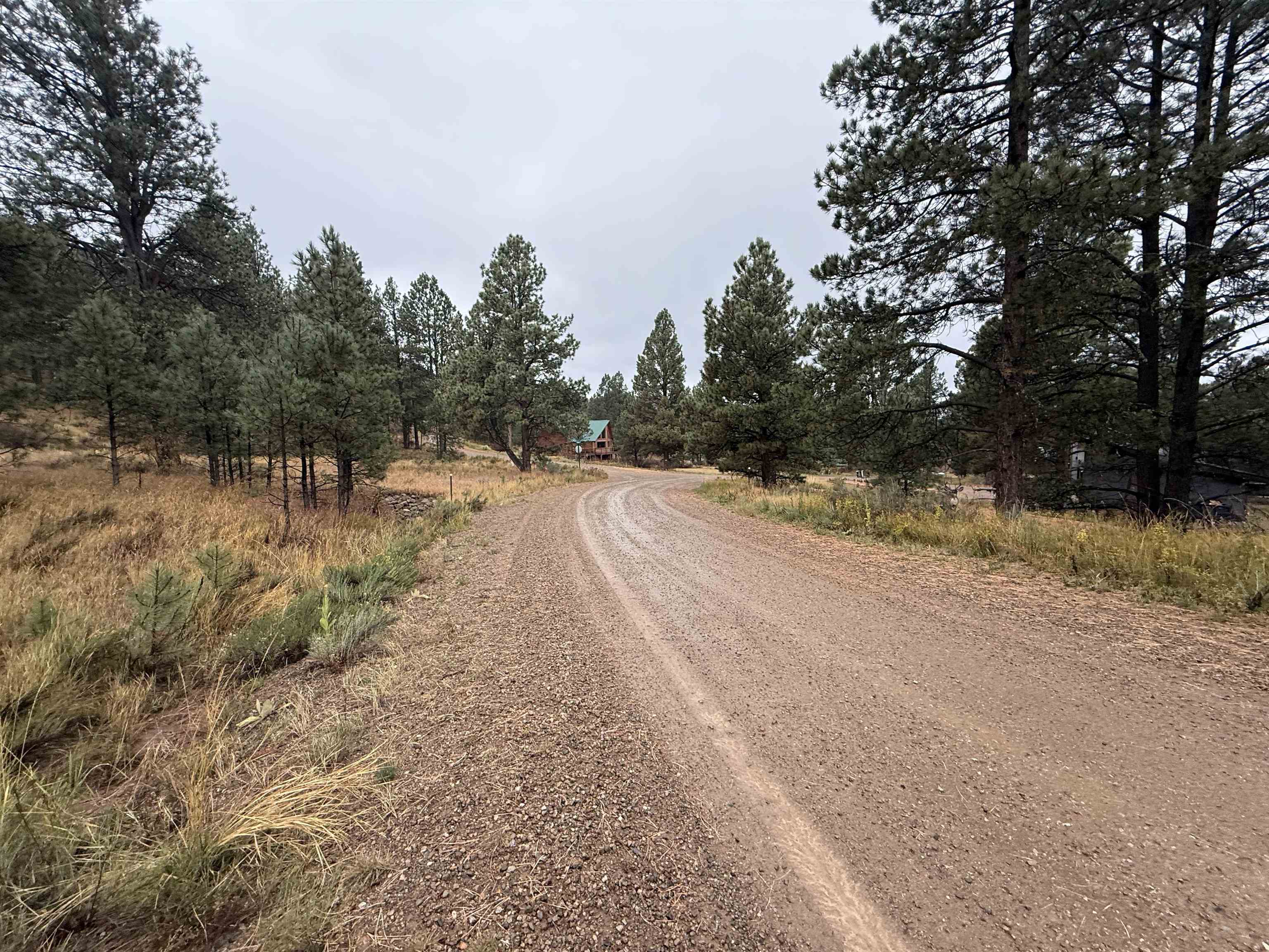 Lot 83 Alta Rd