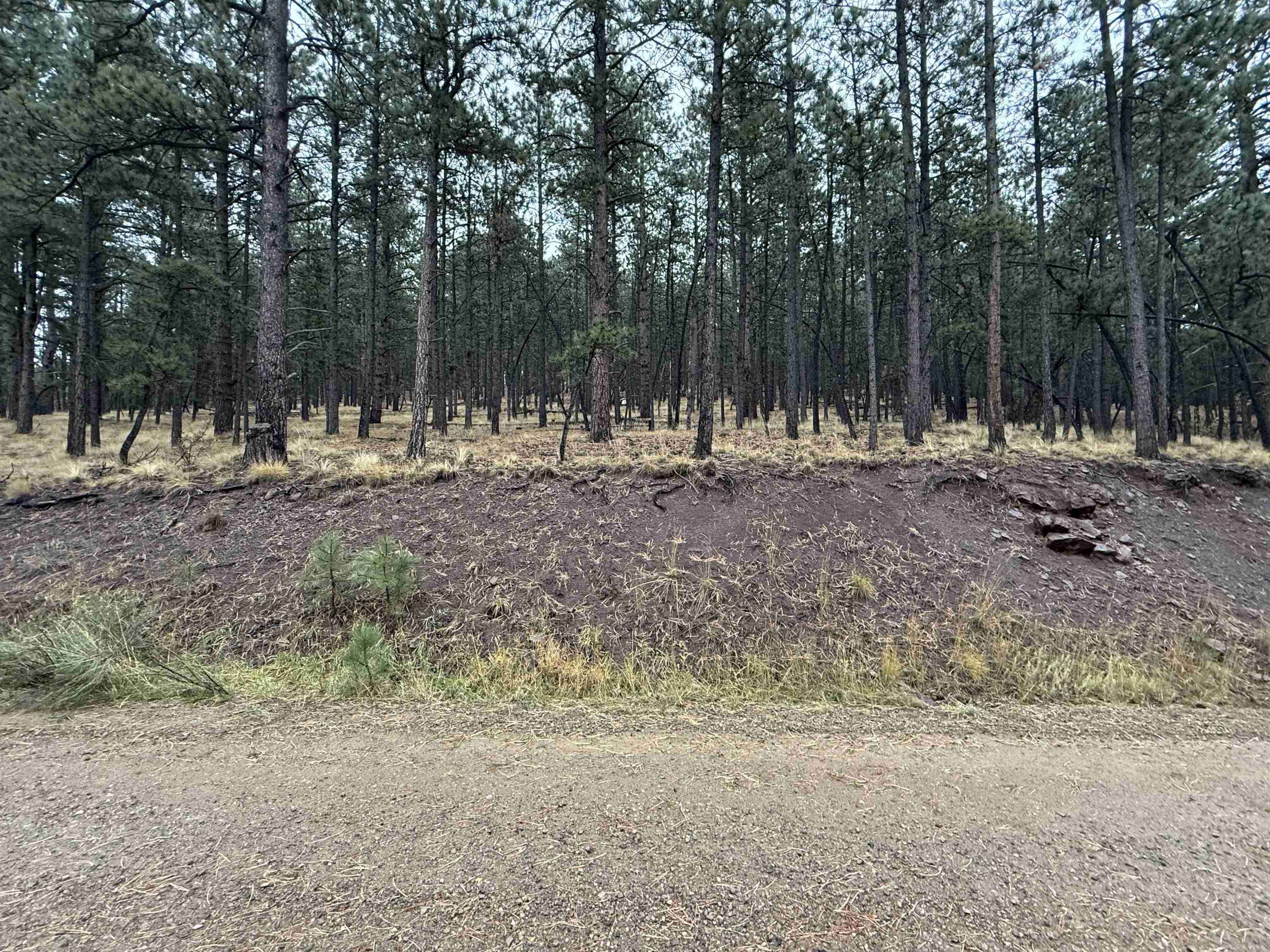 Lot 113 Alta Pl