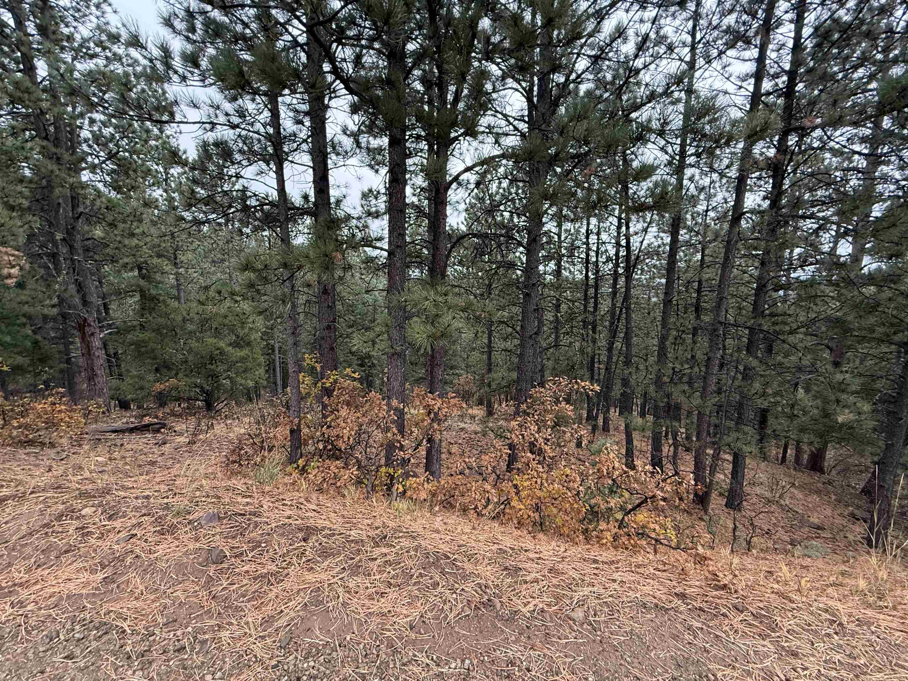 Lot 121 Valley Rd