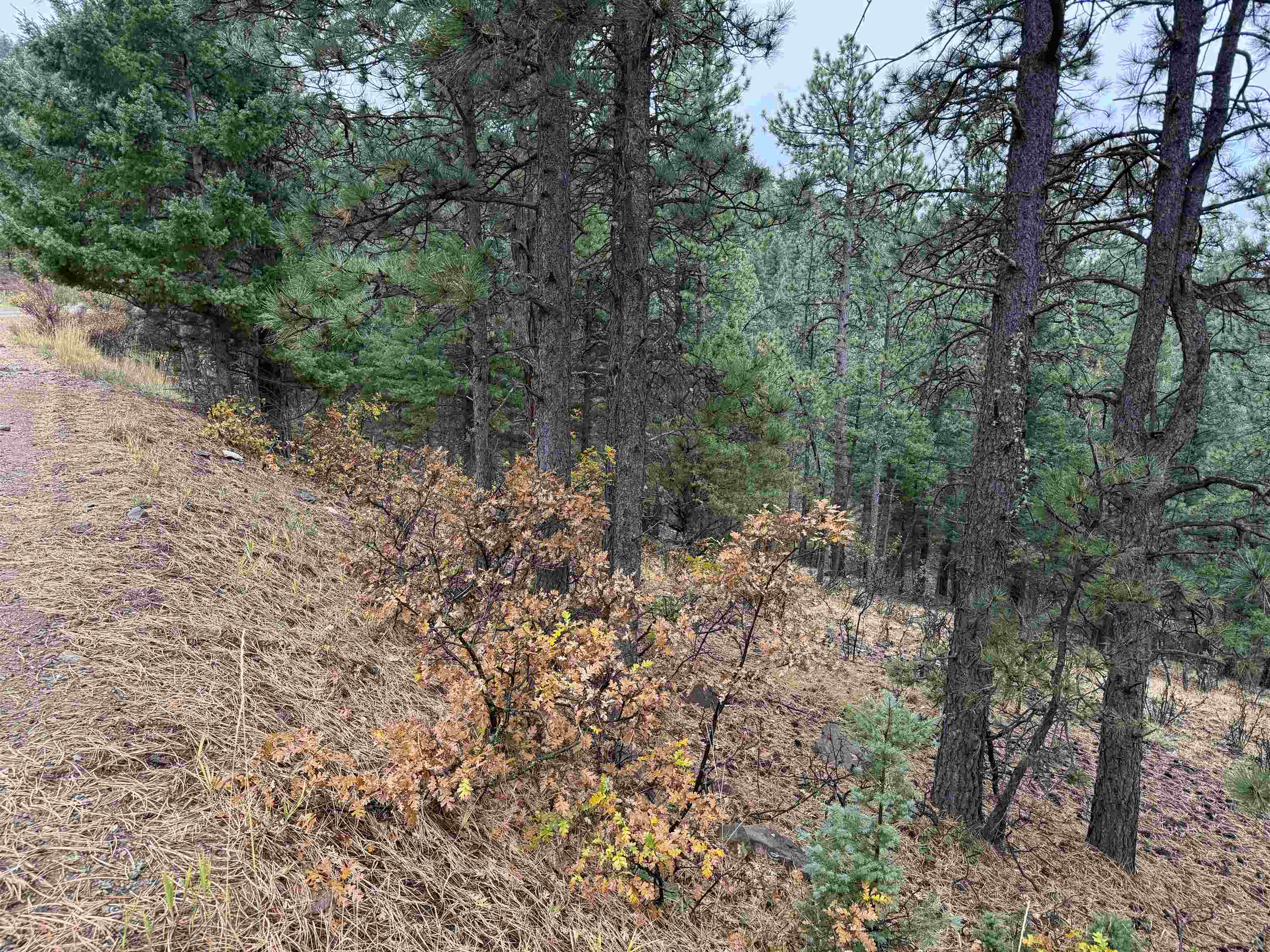 Lot 121 Valley Rd