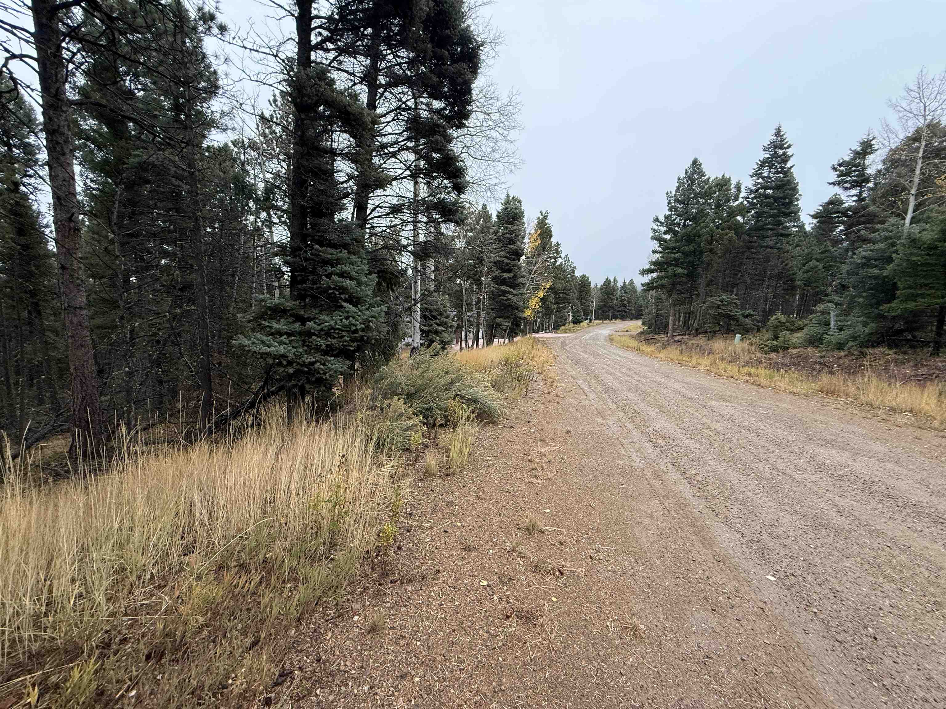 Lot 181 Taos Pl