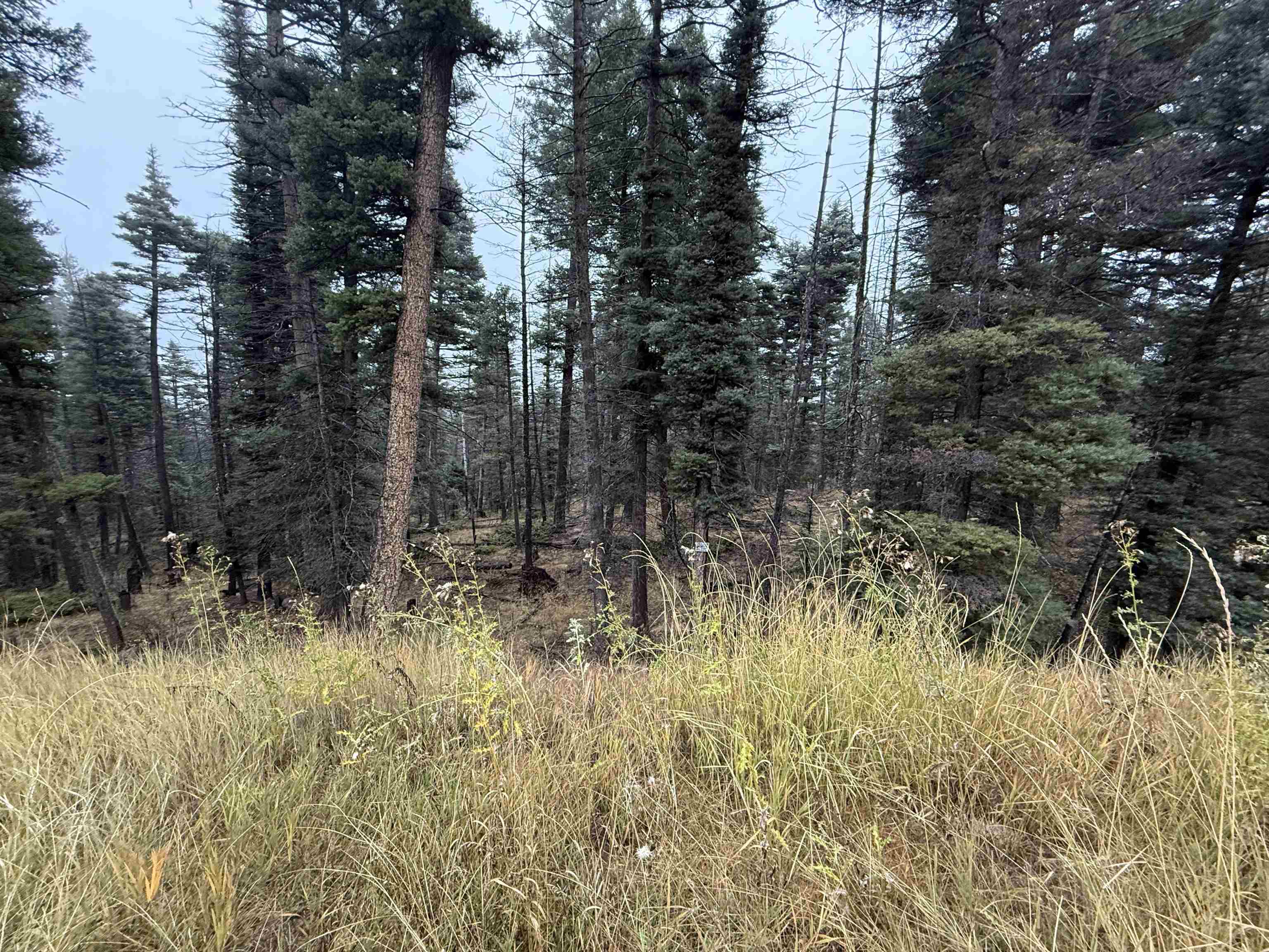 Lot 220 Peak Pl