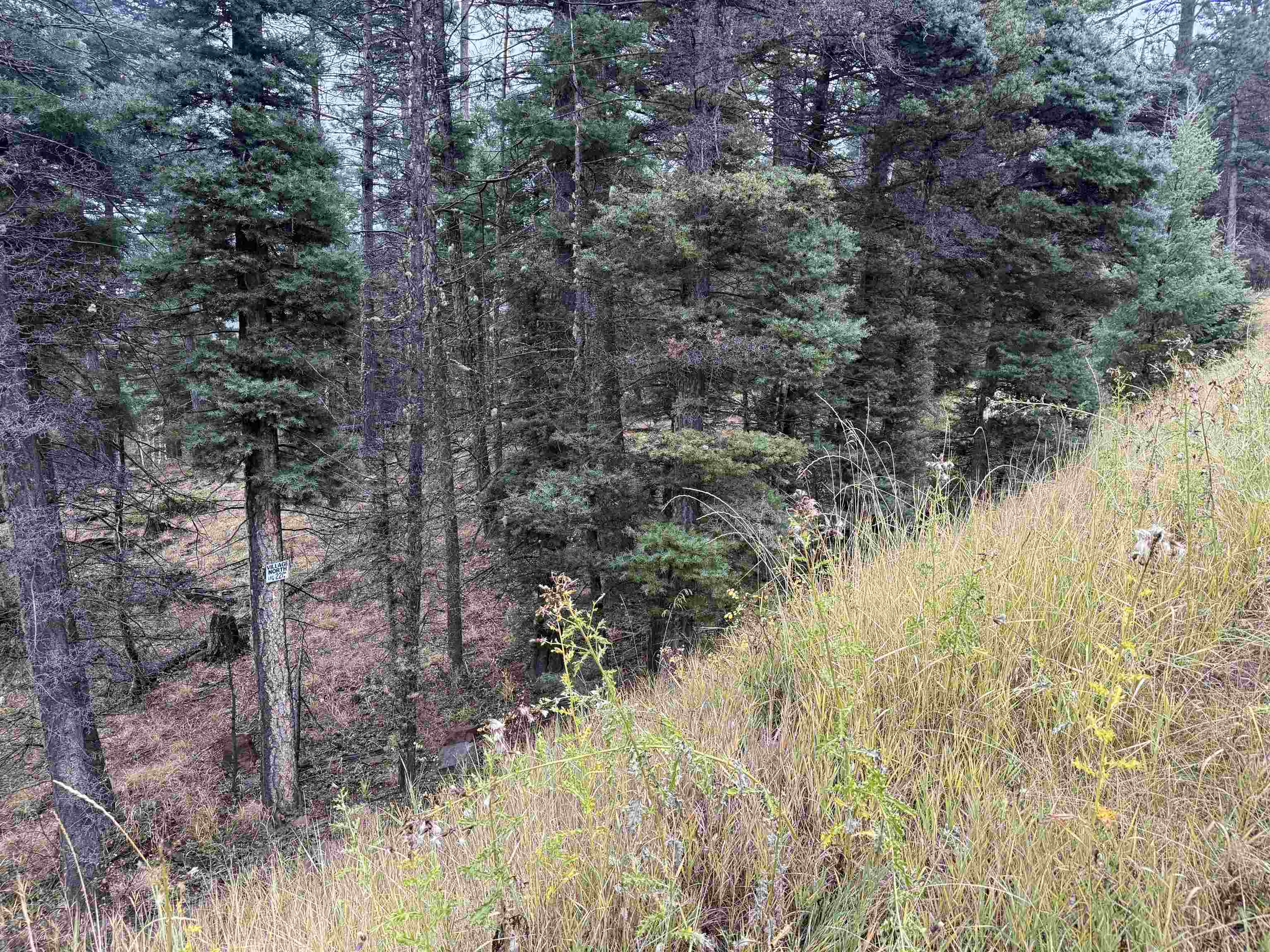Lot 220 Peak Pl
