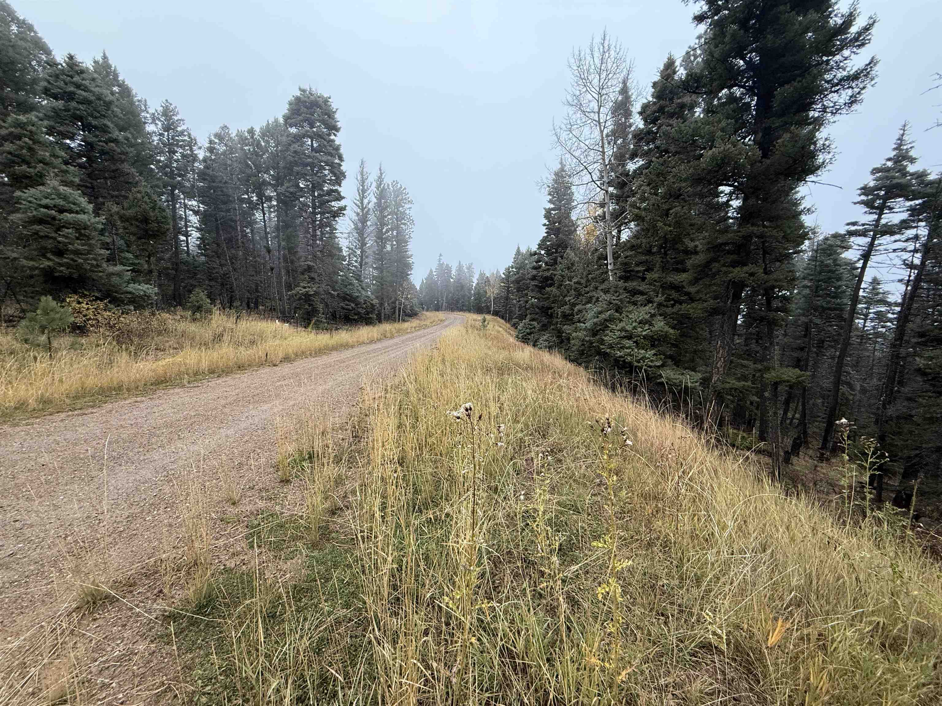 Lot 220 Peak Pl