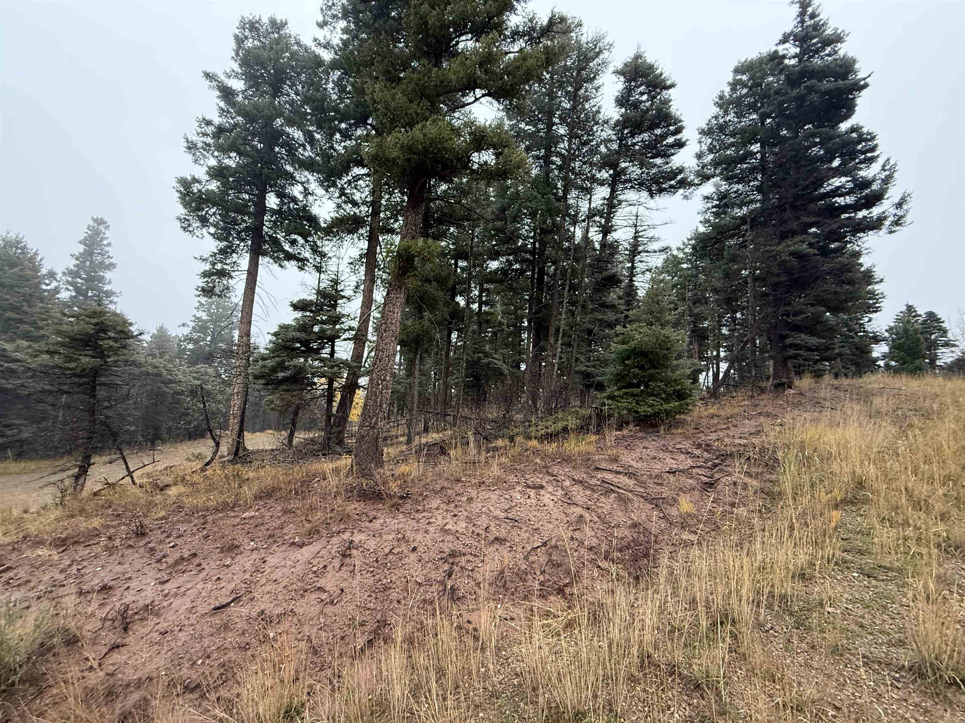 Lot 223 Steamboat Ln