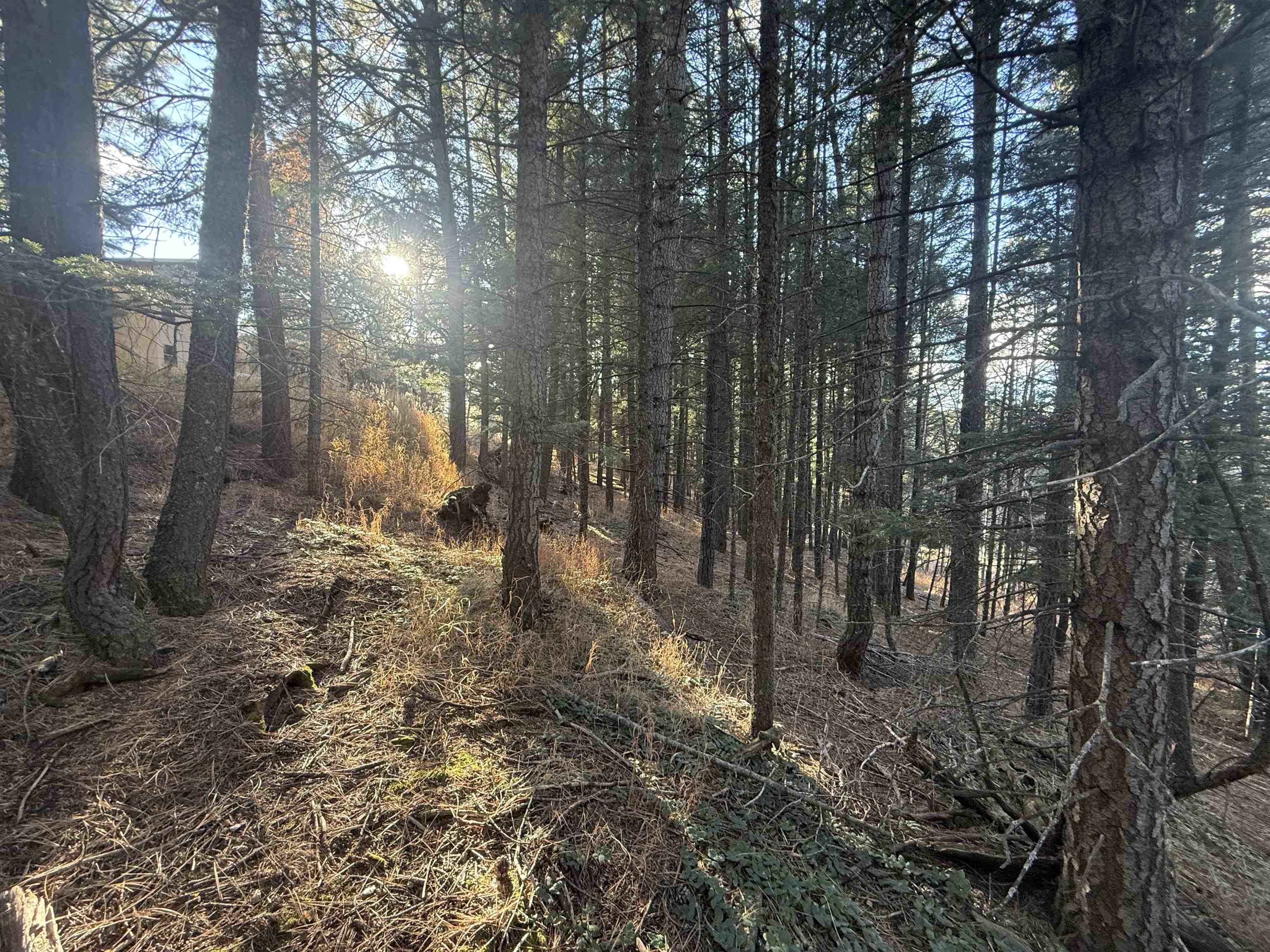 Lot 72 Mammoth Mountain Rd