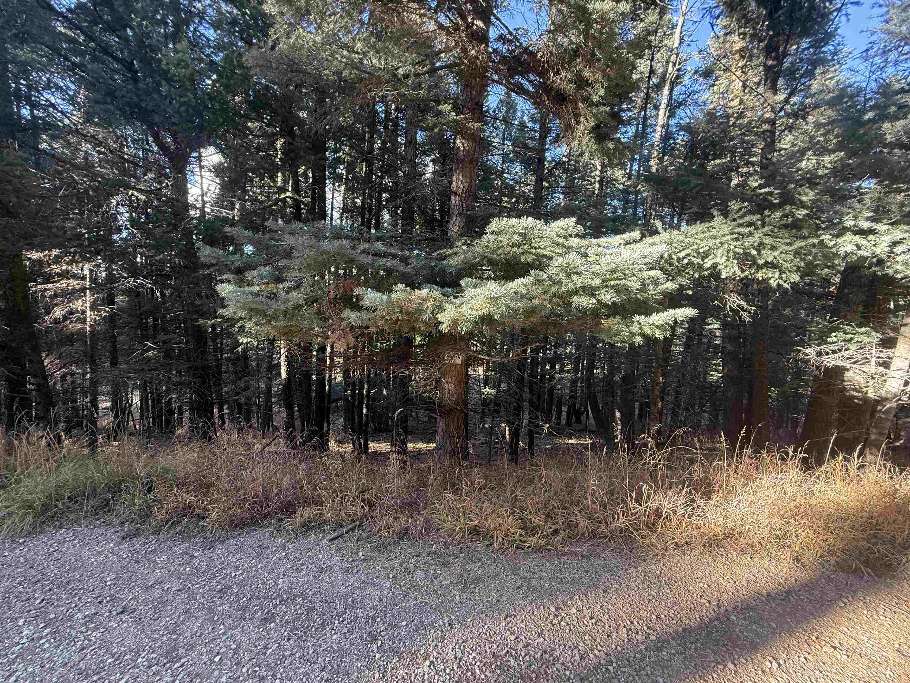 Lot 72 Mammoth Mountain Rd