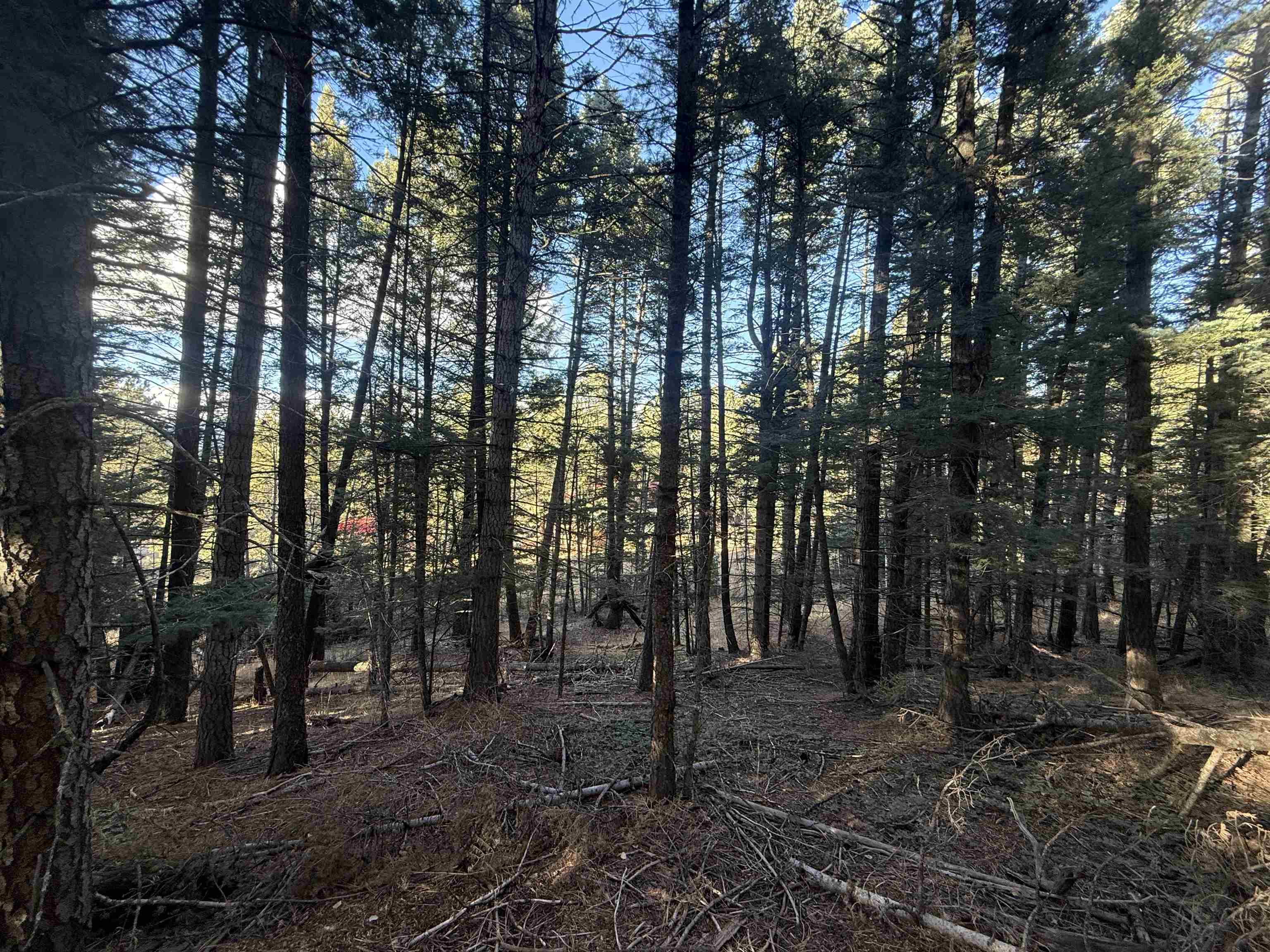 Lot 72 Mammoth Mountain Rd