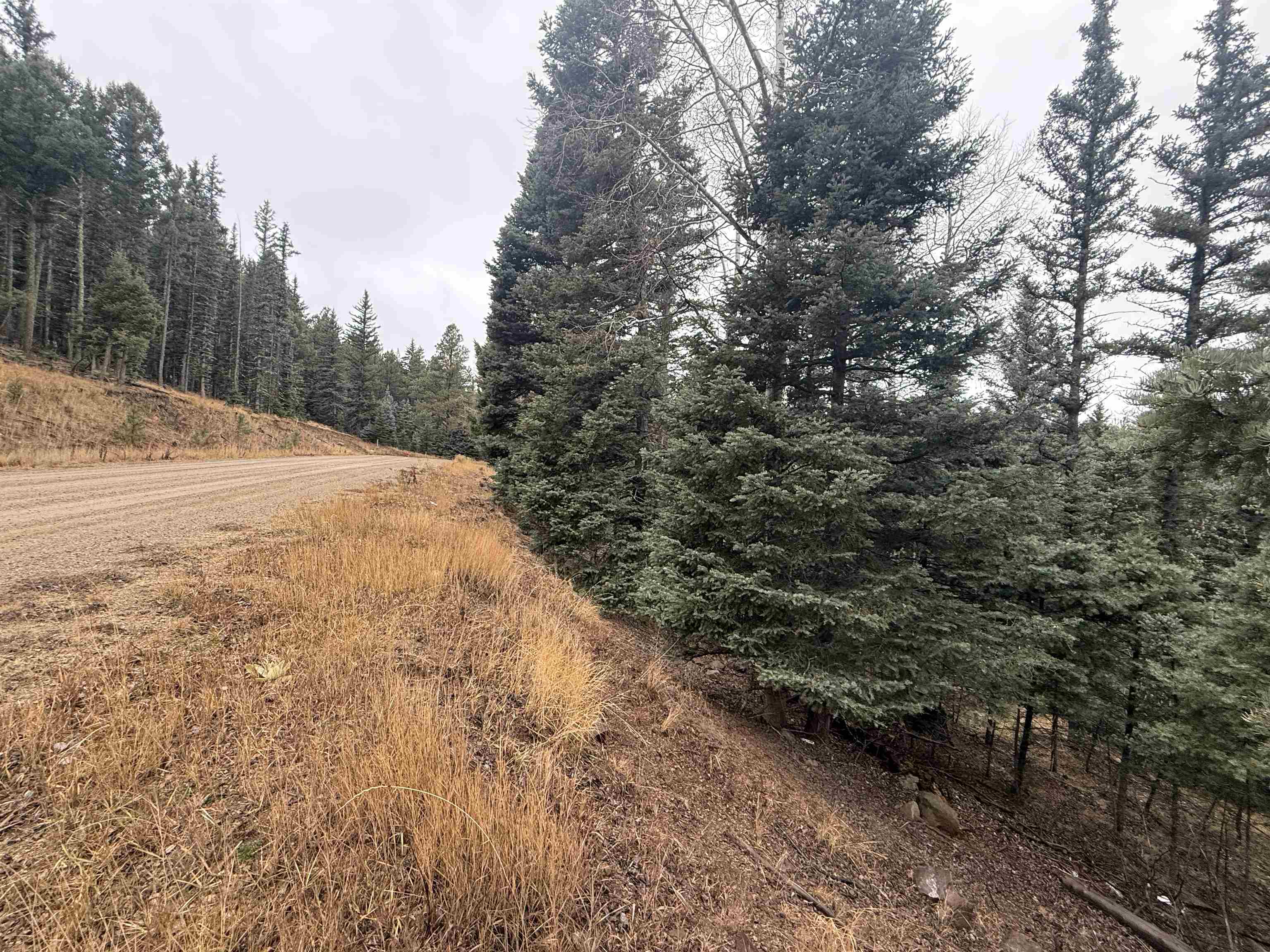Lot 24 San Andres Terr