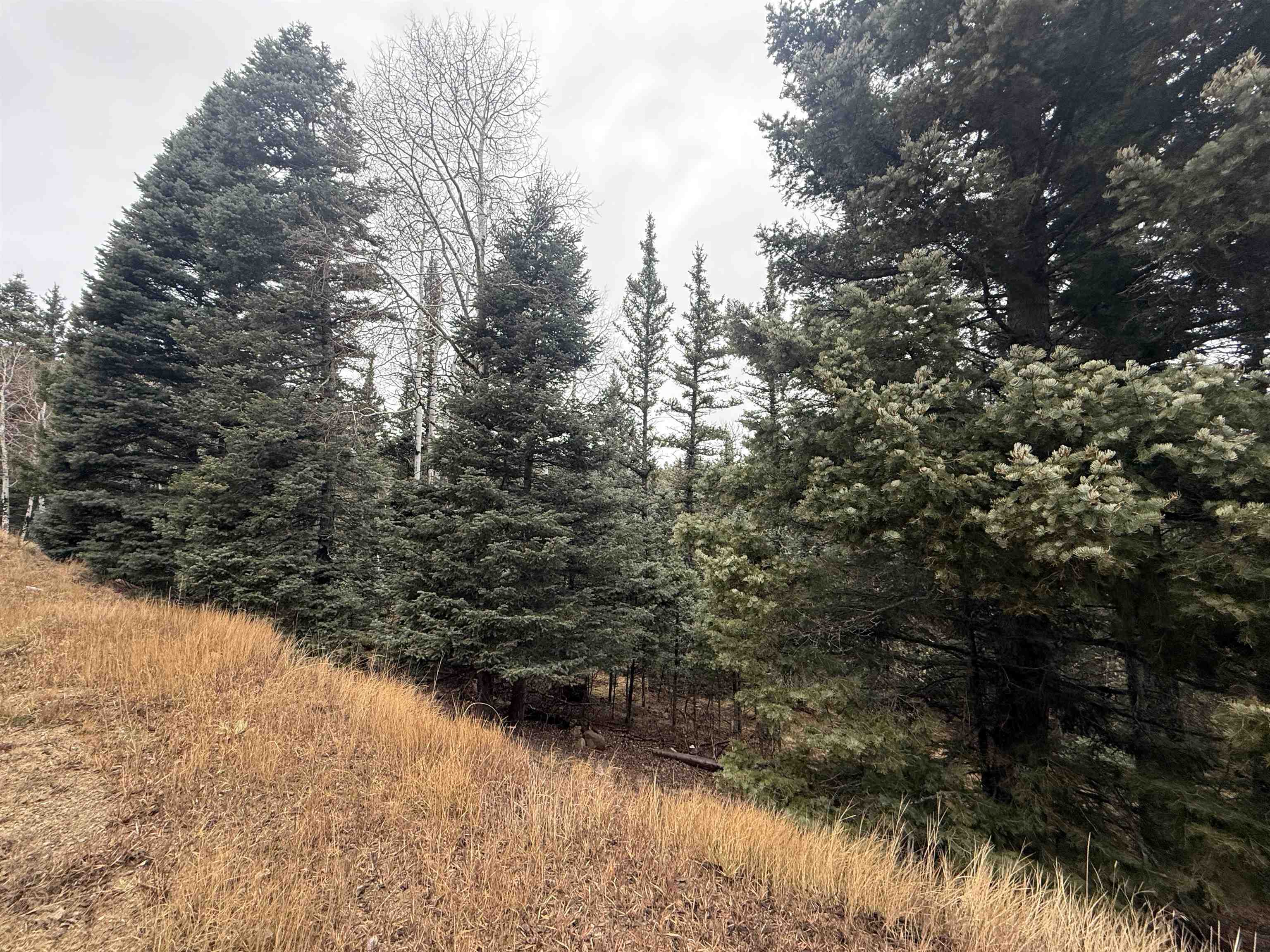 Lot 24 San Andres Terr