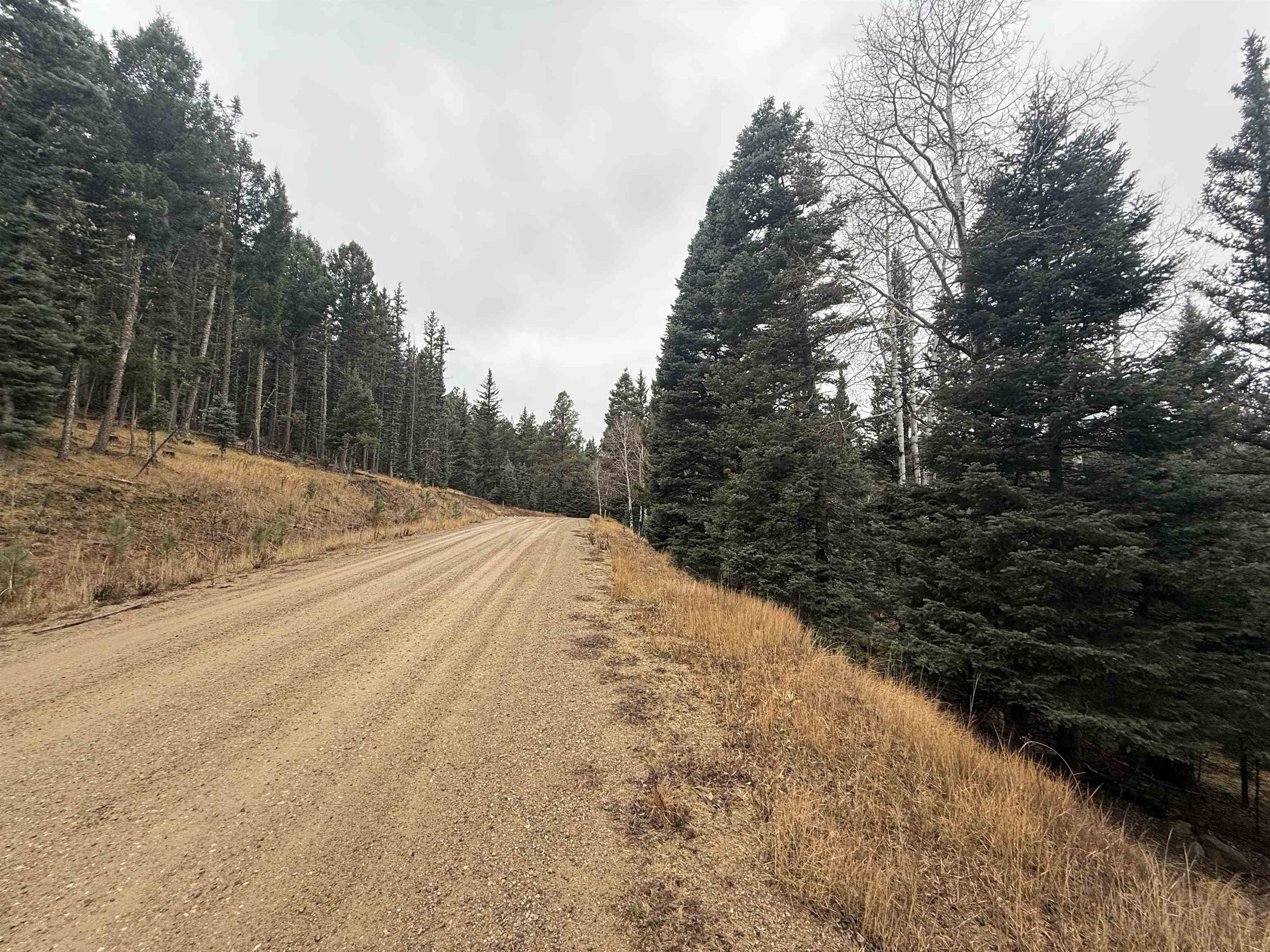 Lot 24 San Andres Terr