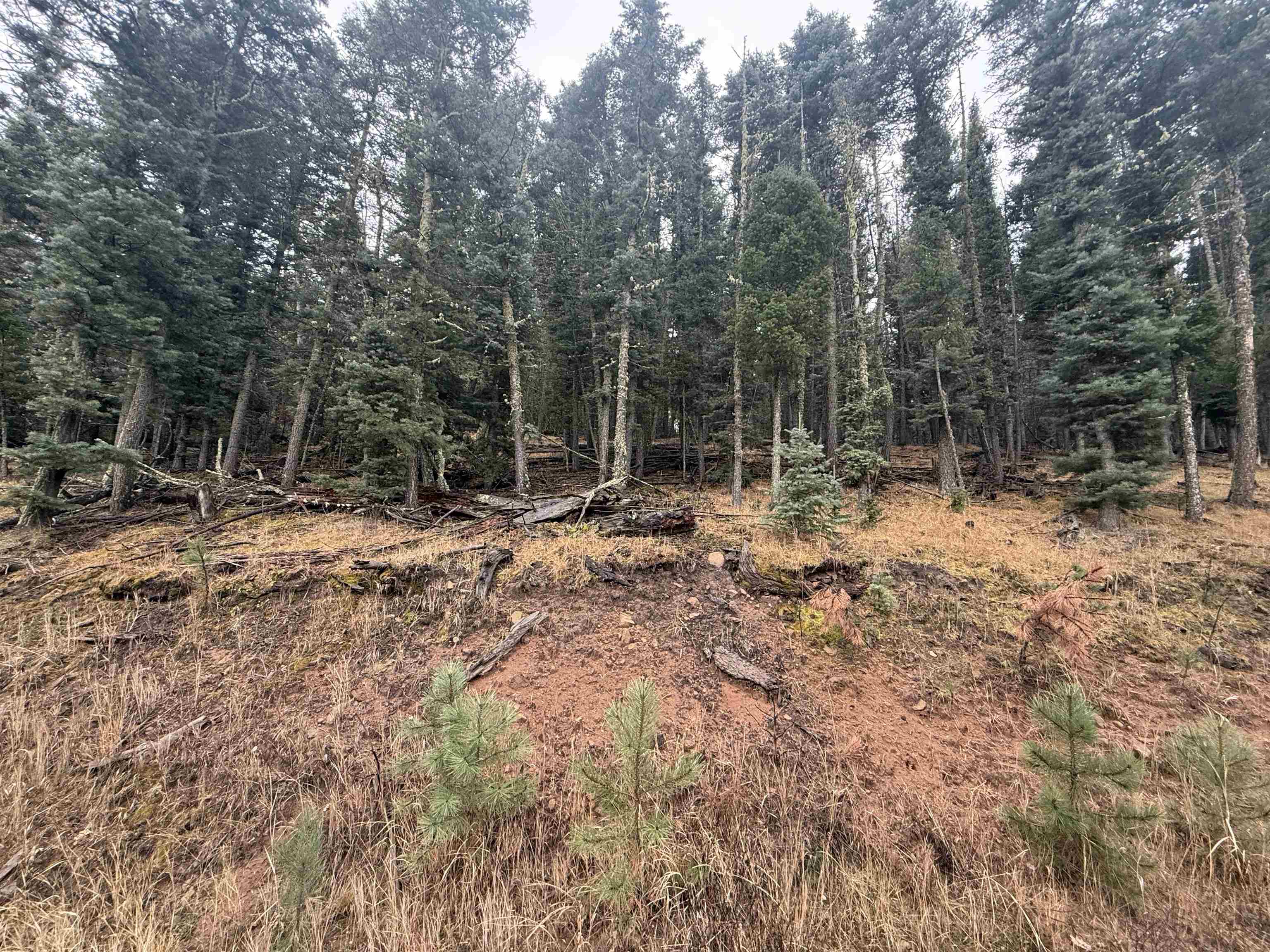 Lot 29 San Andres Terr