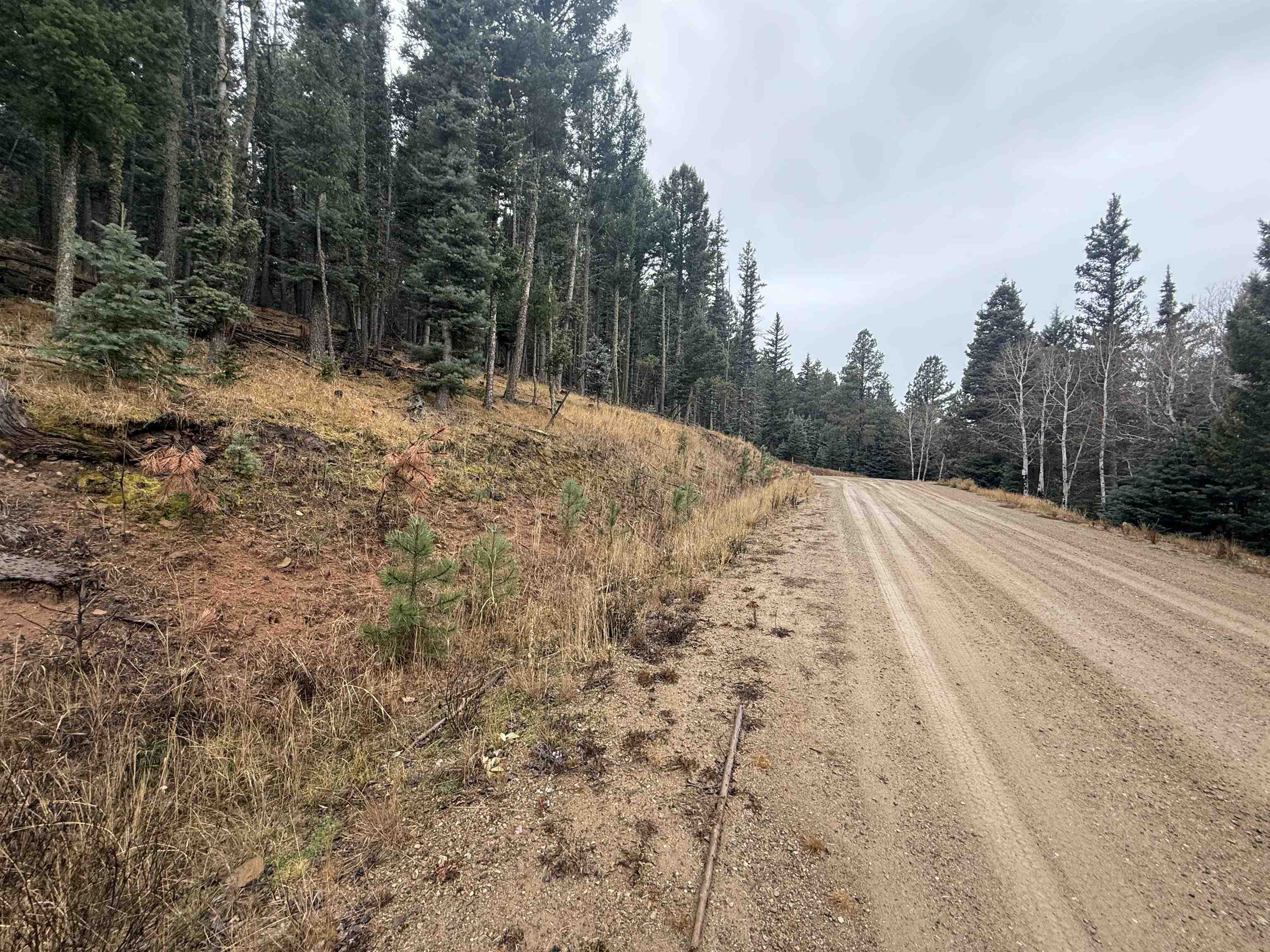 Lot 29 San Andres Terr
