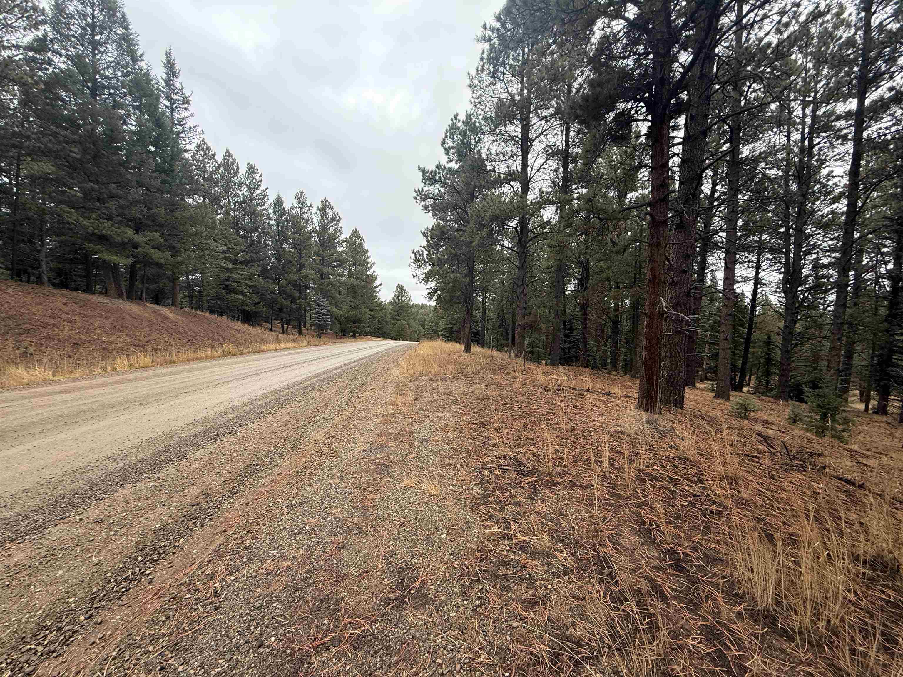 Lot 37 S Valle Grande Trl