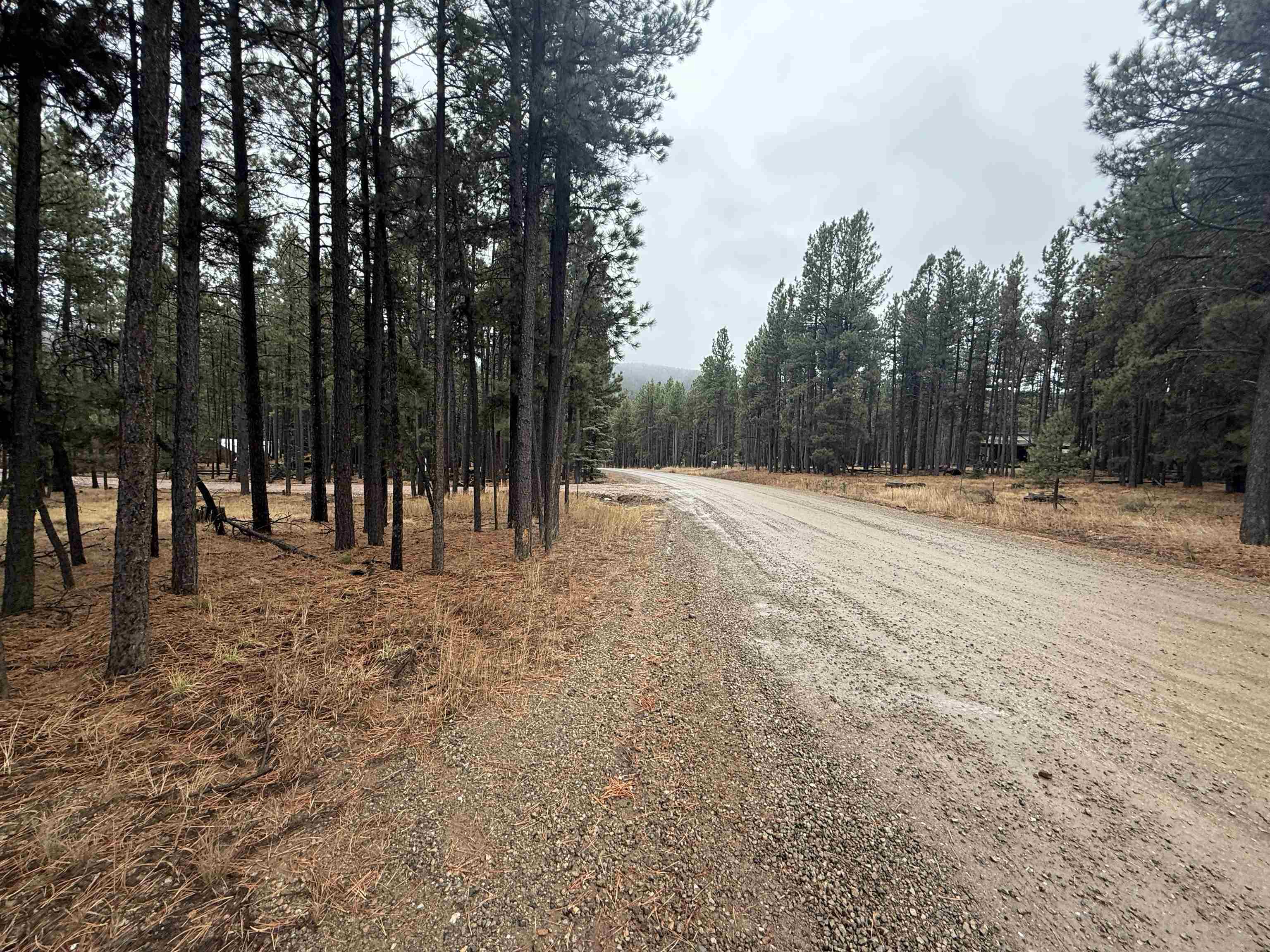 Lot 40 S Valle Grande Trl