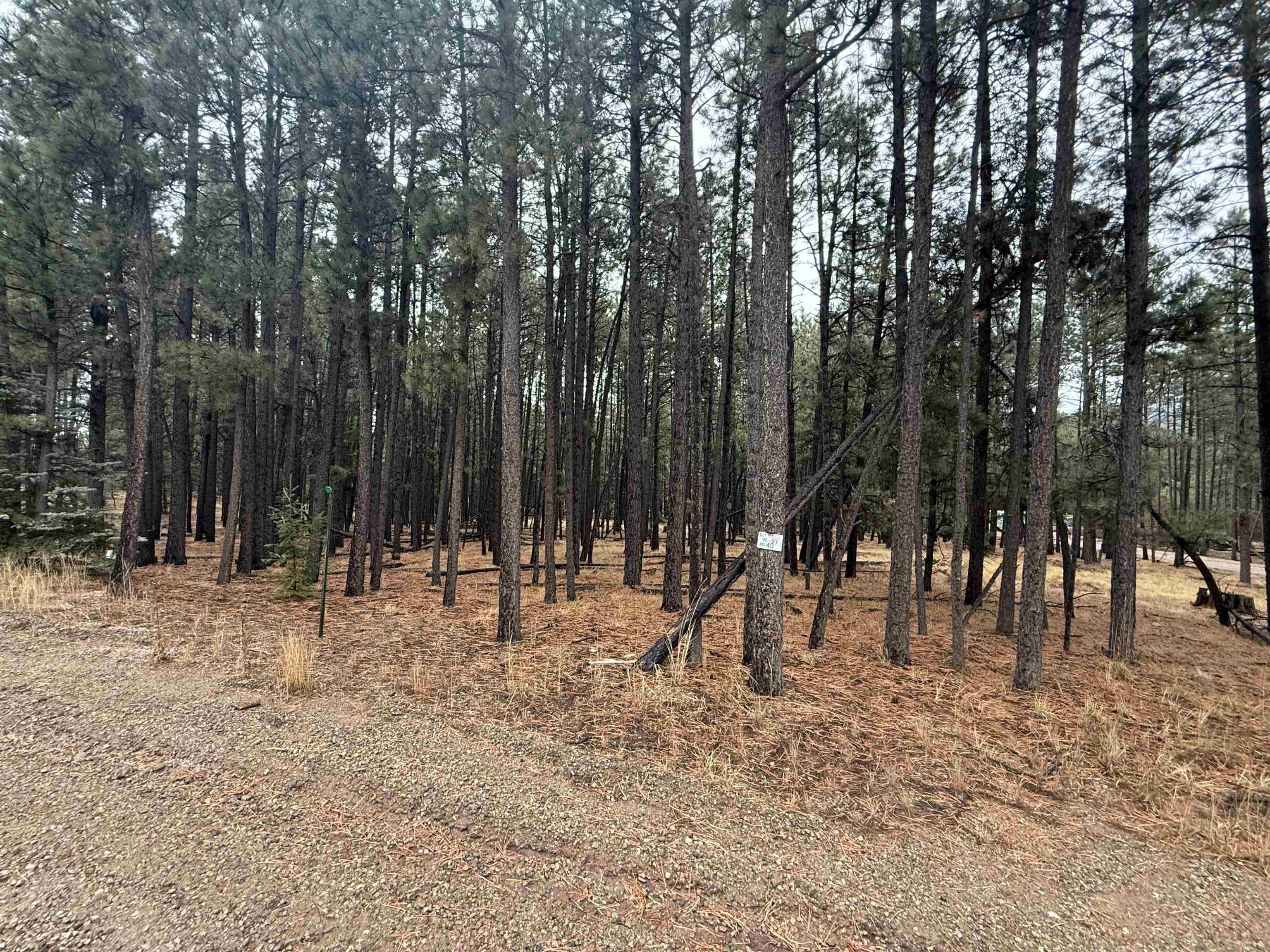 Lot 40 S Valle Grande Trl