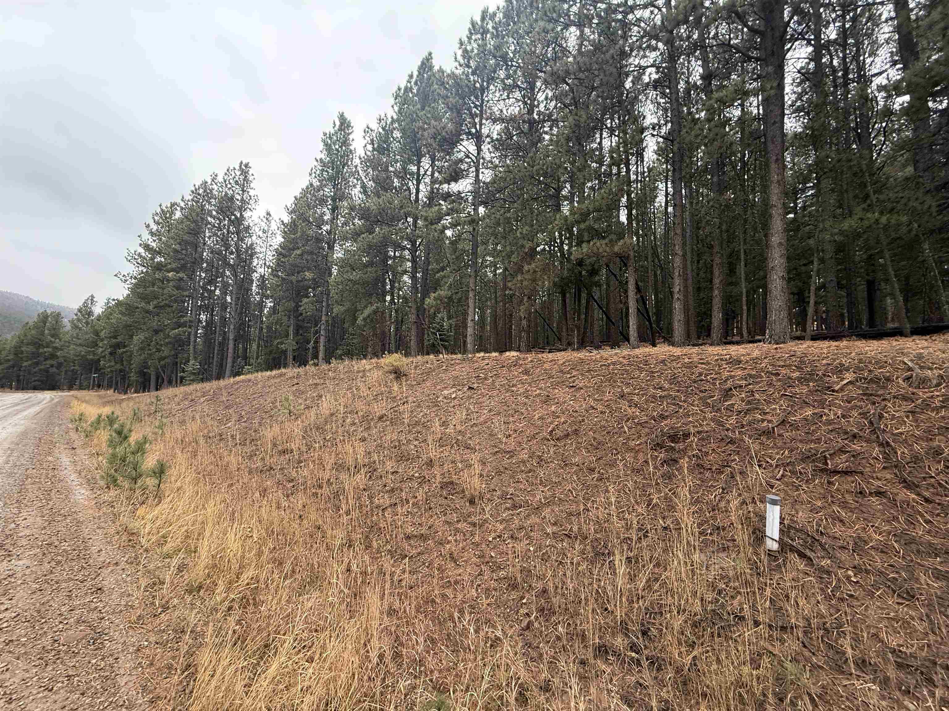 Lot 53 S Valle Grande Trl