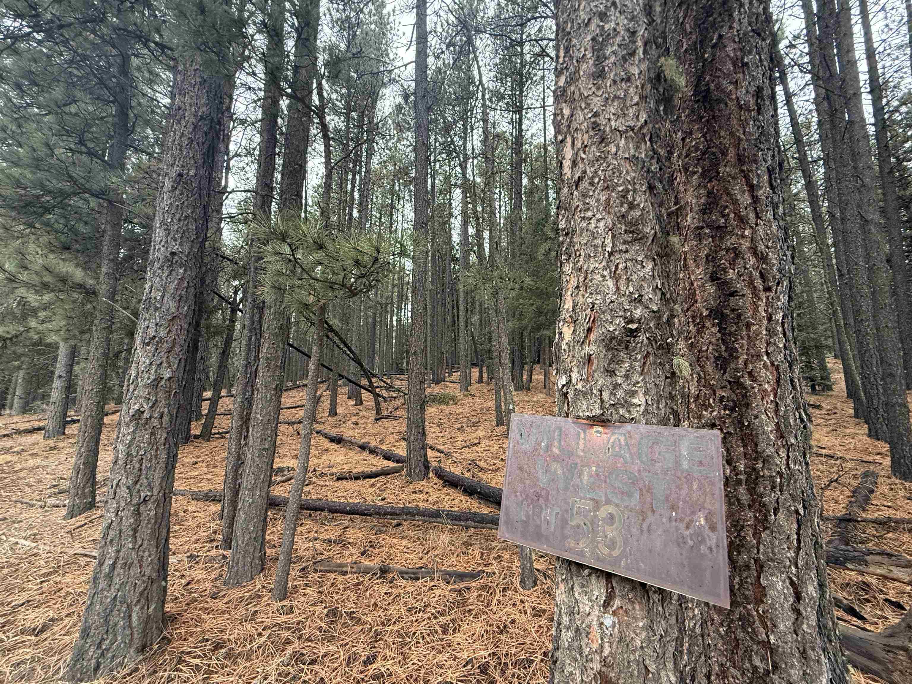 Lot 53 S Valle Grande Trl