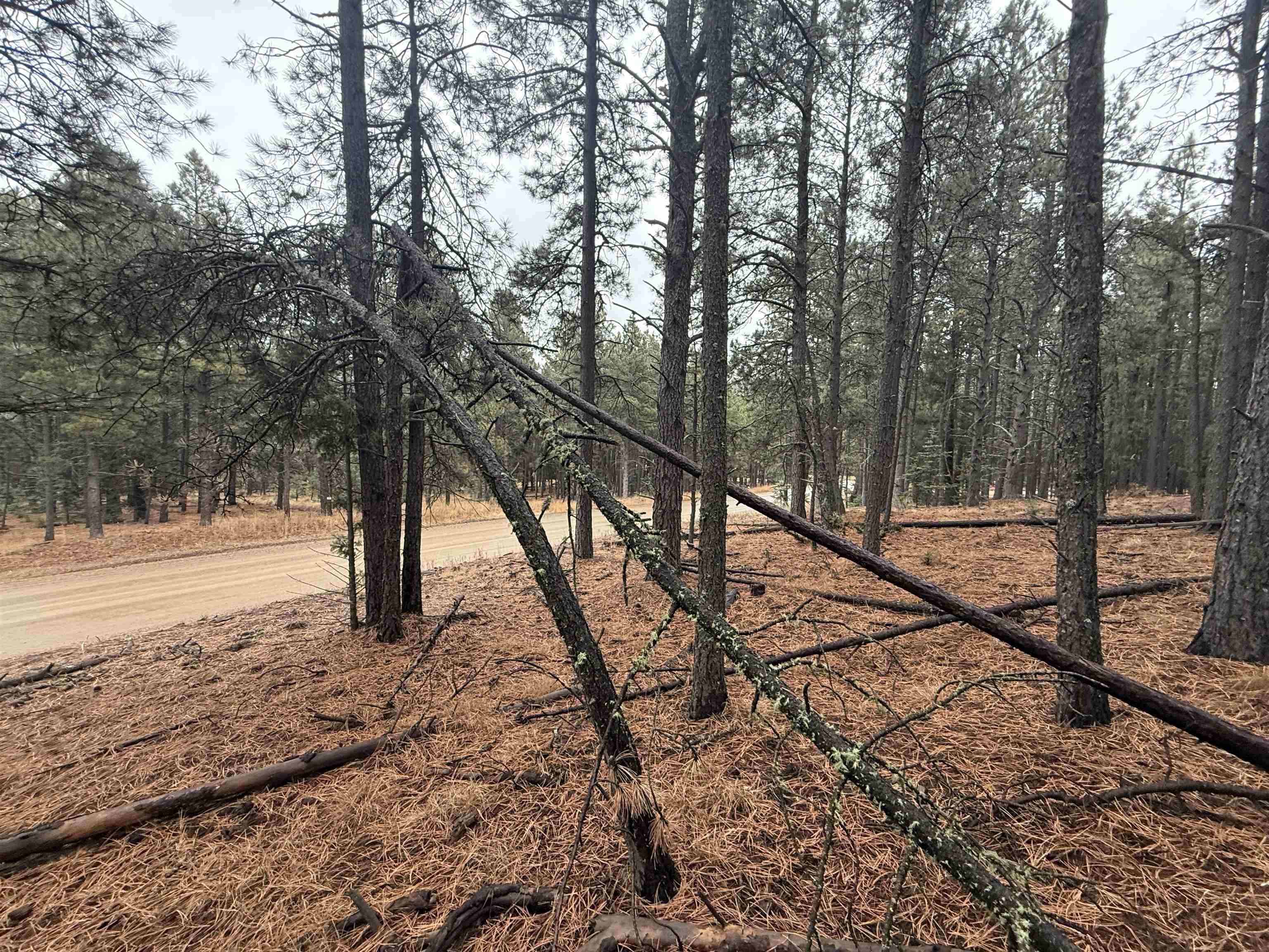 Lot 53 S Valle Grande Trl