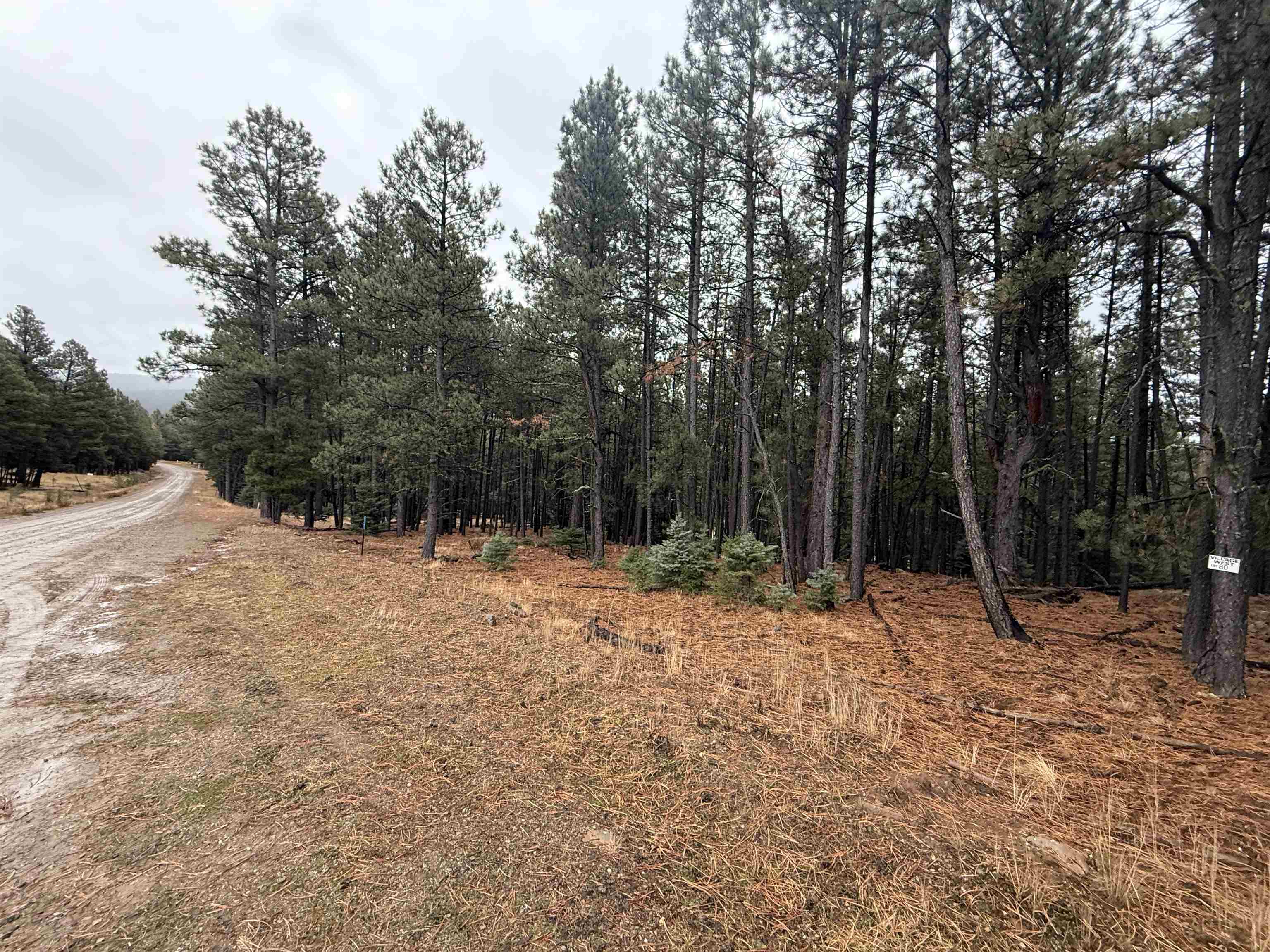 Lot 80 San Juan Dr