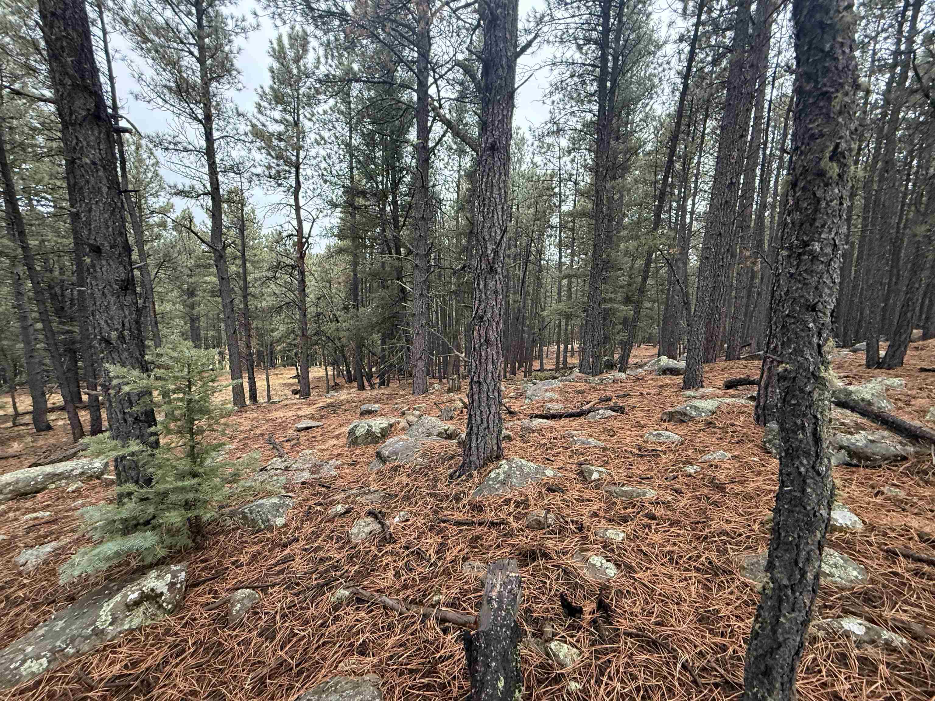 Lot 80 San Juan Dr