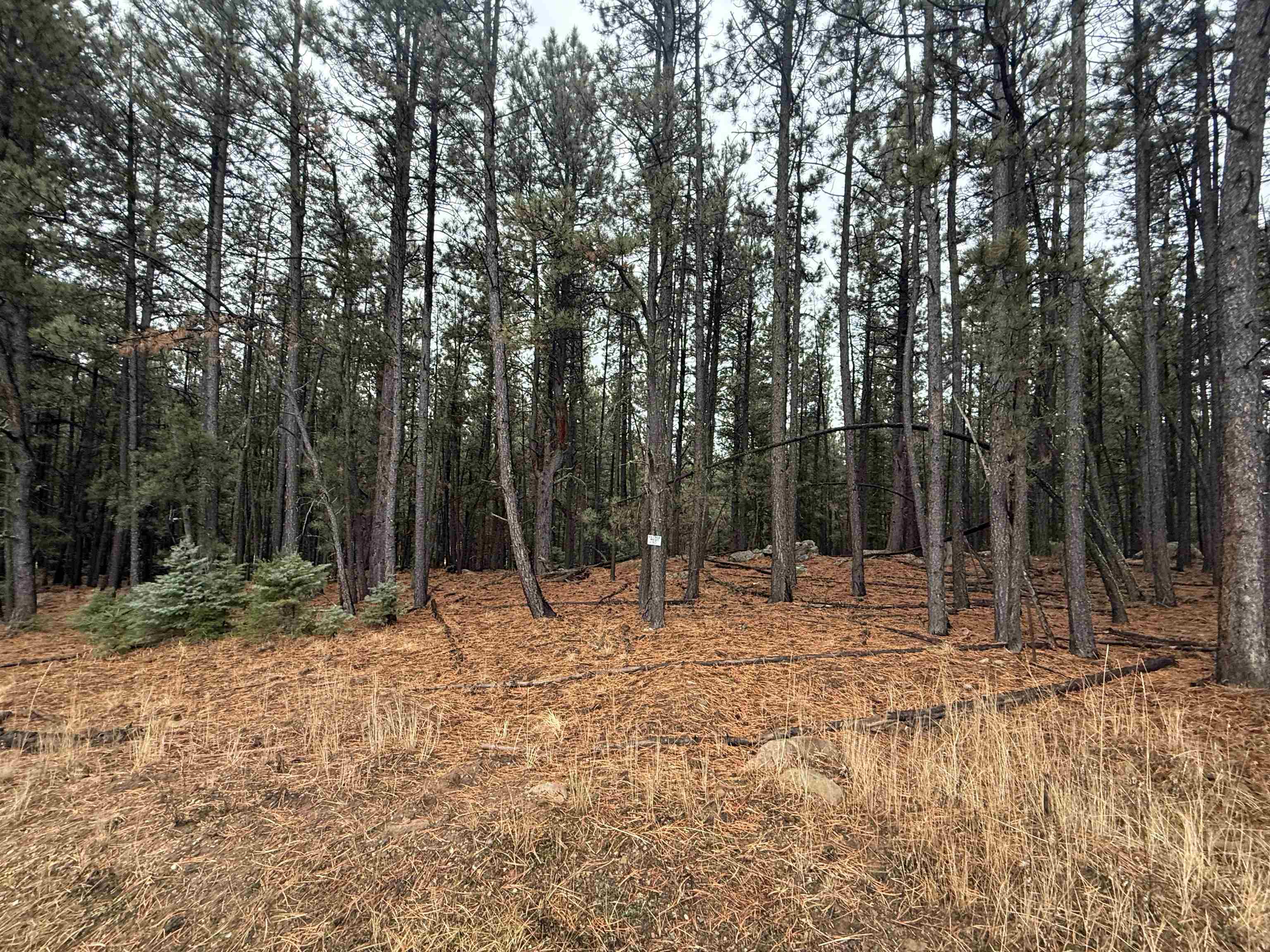Lot 80 San Juan Dr