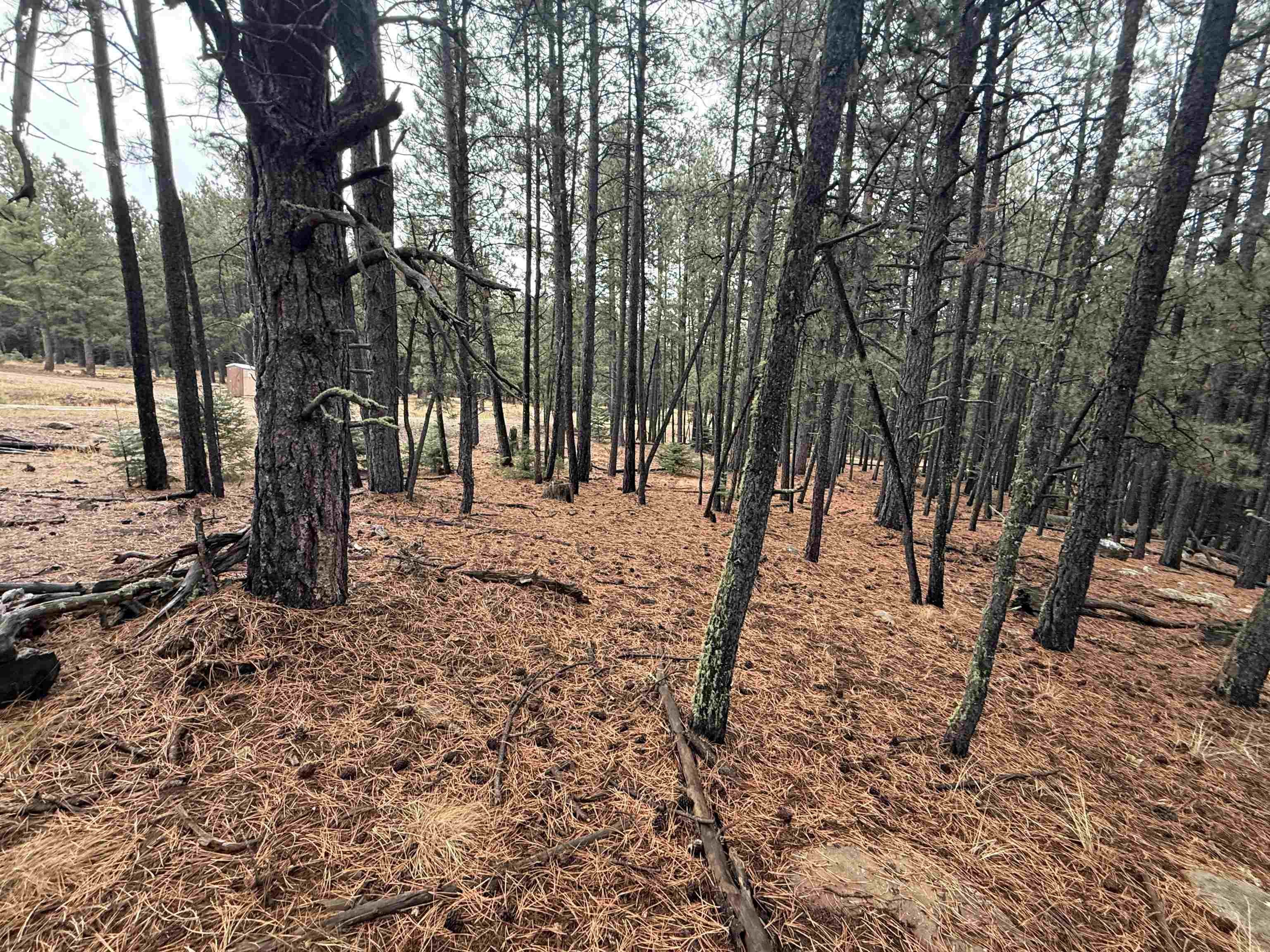 Lot 80 San Juan Dr