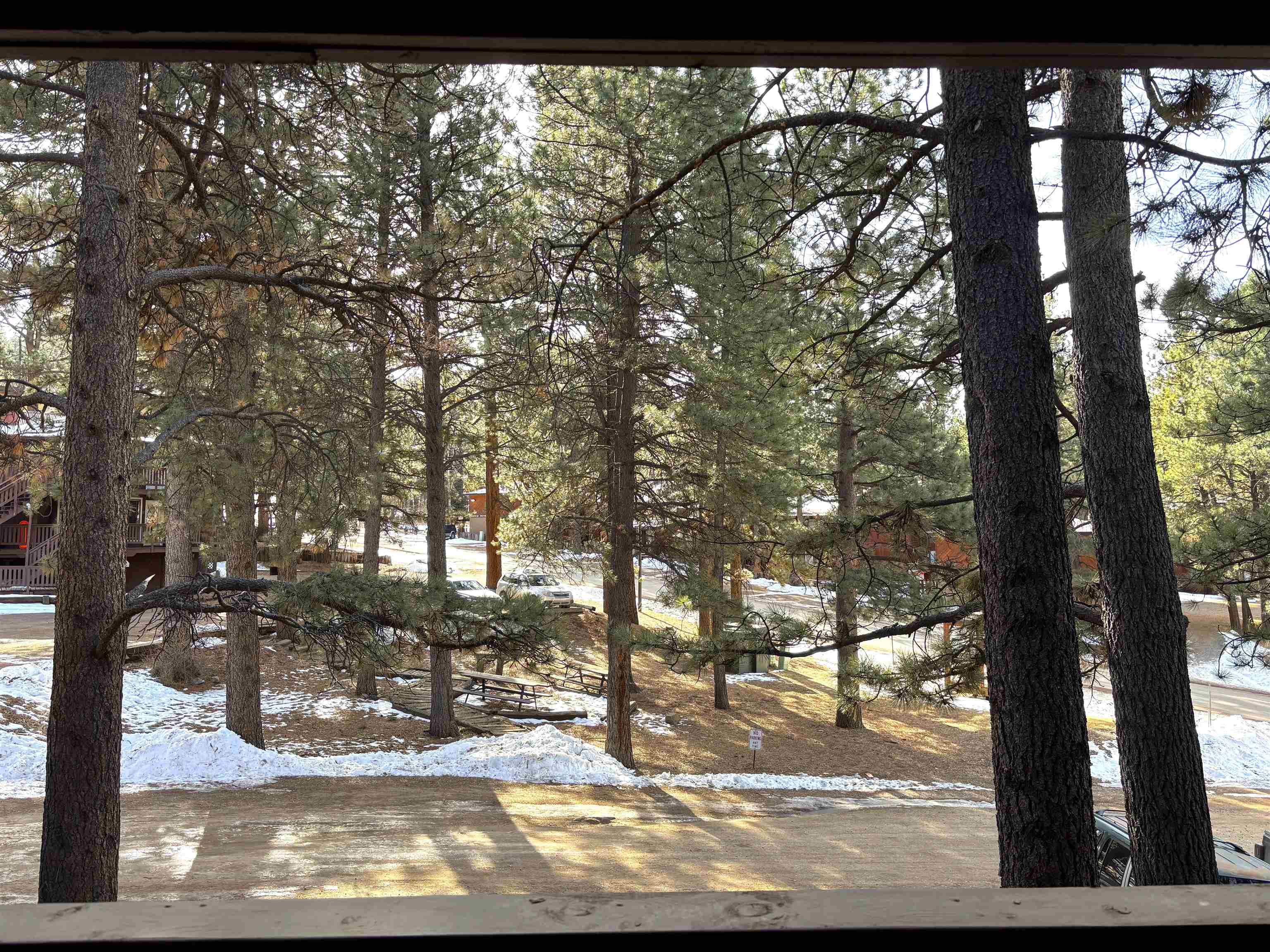 20 Jackson Hole Rd B11