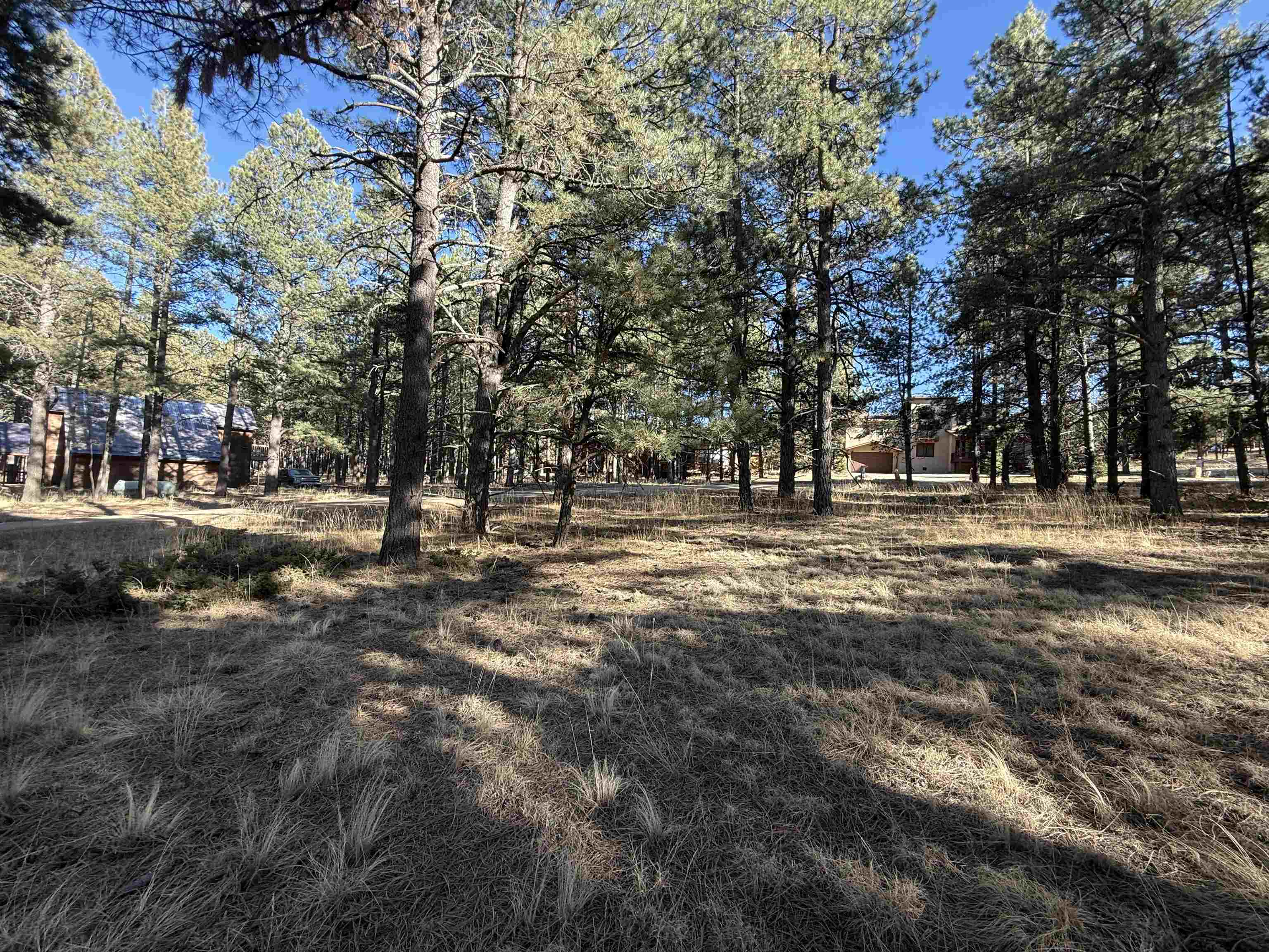Lot 1113 Oakwood Ln