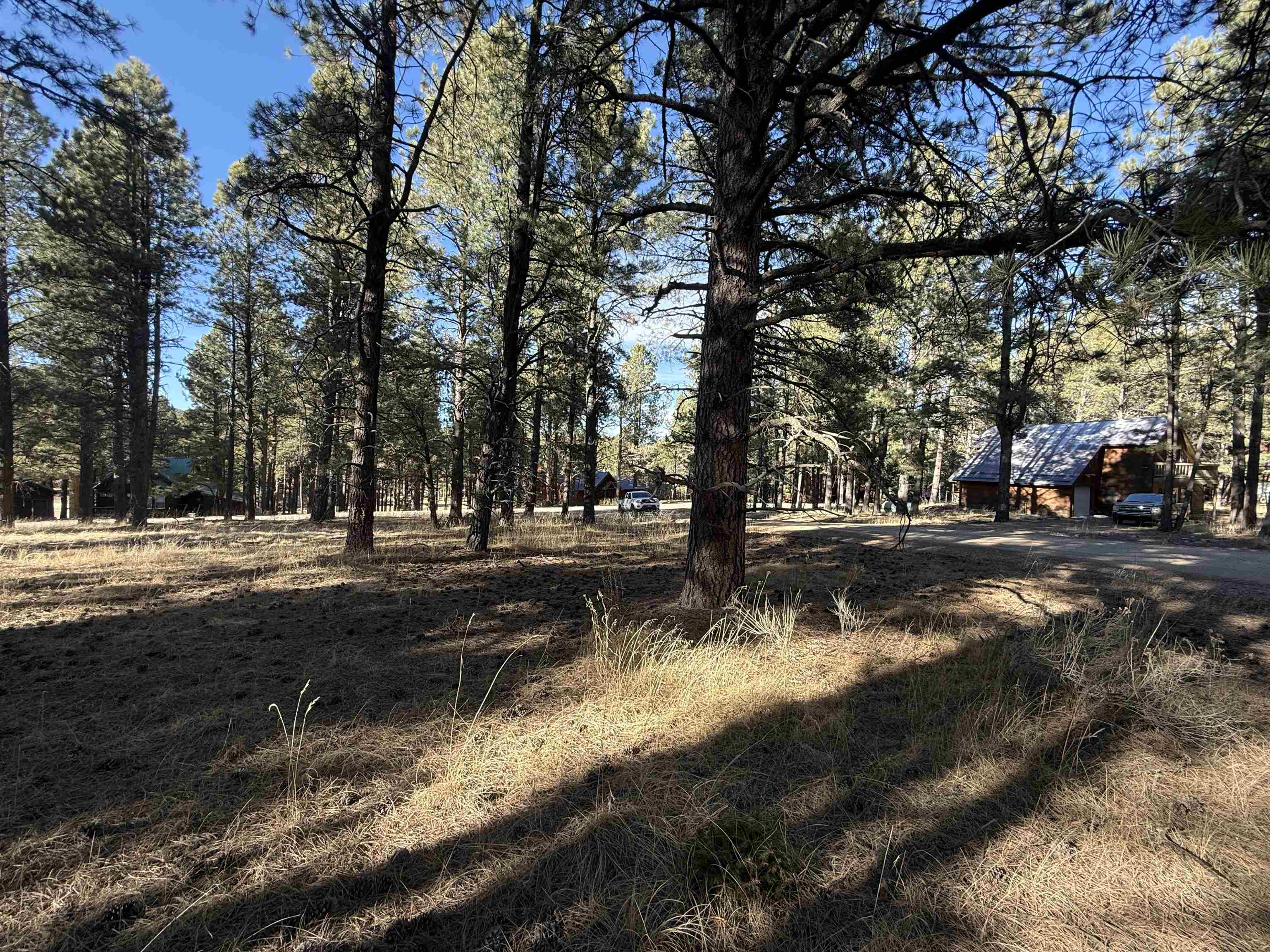 Lot 1113 Oakwood Ln