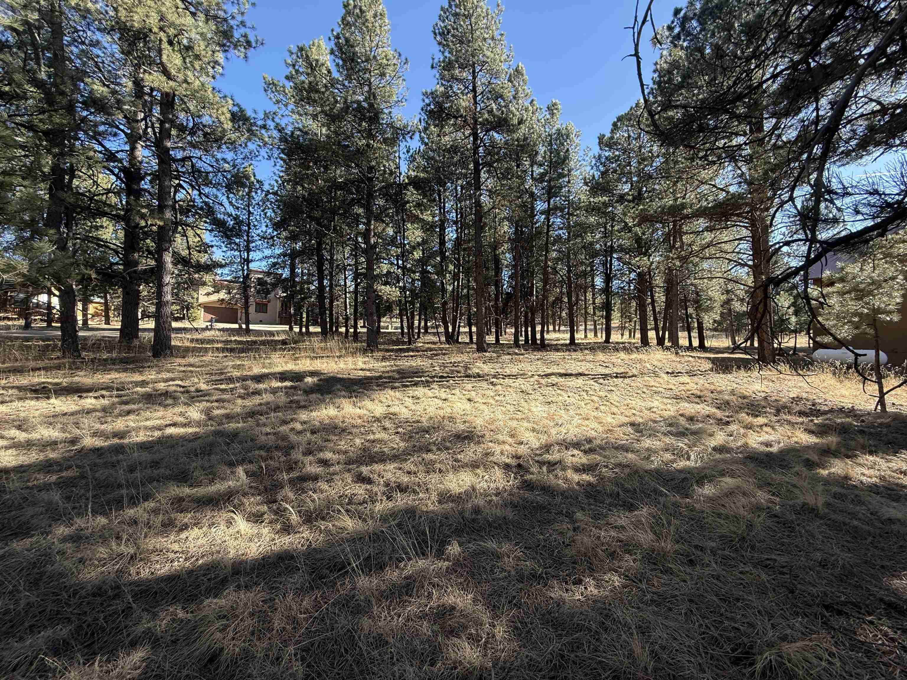 Lot 1113 Oakwood Ln