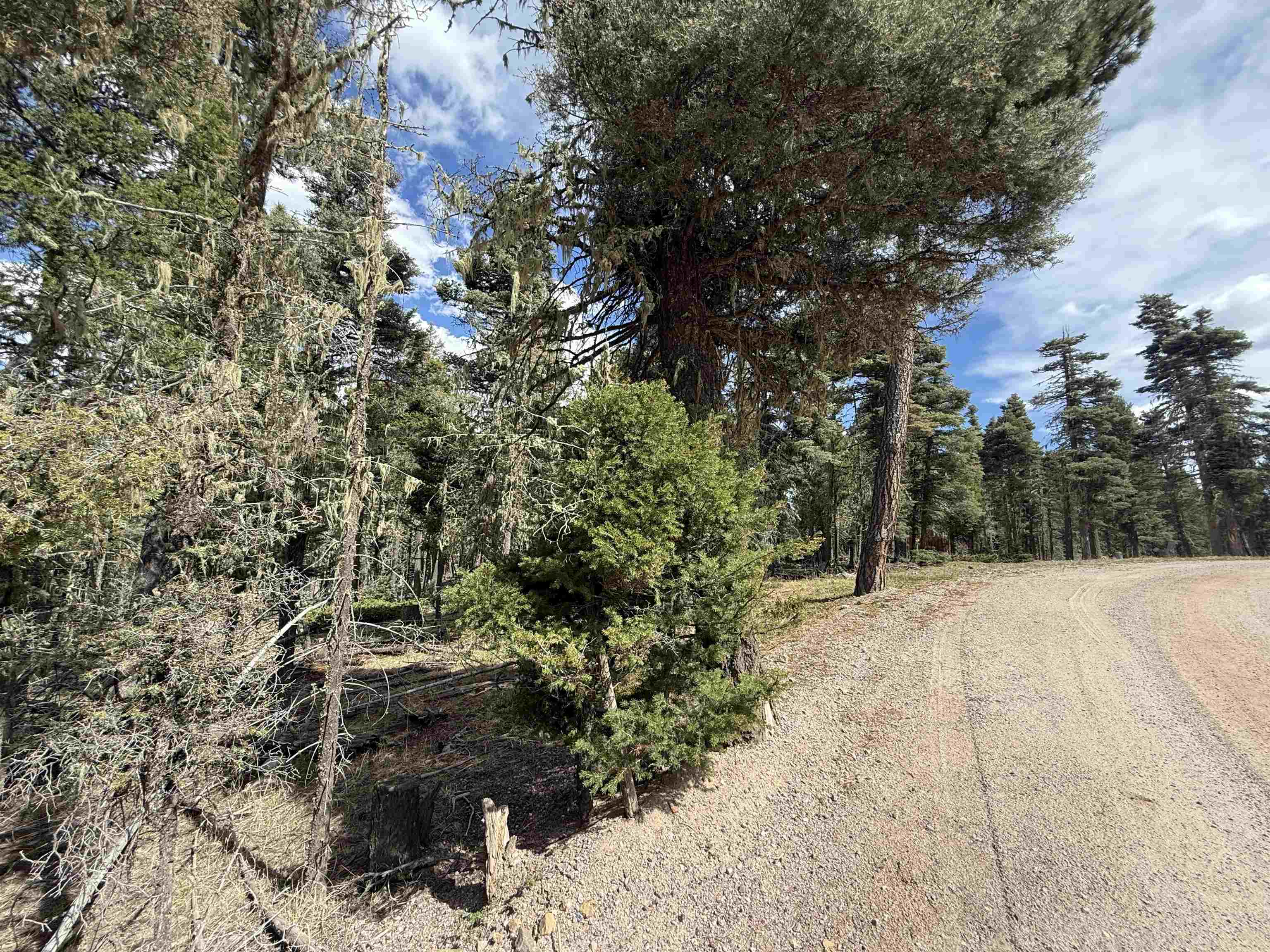 Lot 28 Calle de los Indios
