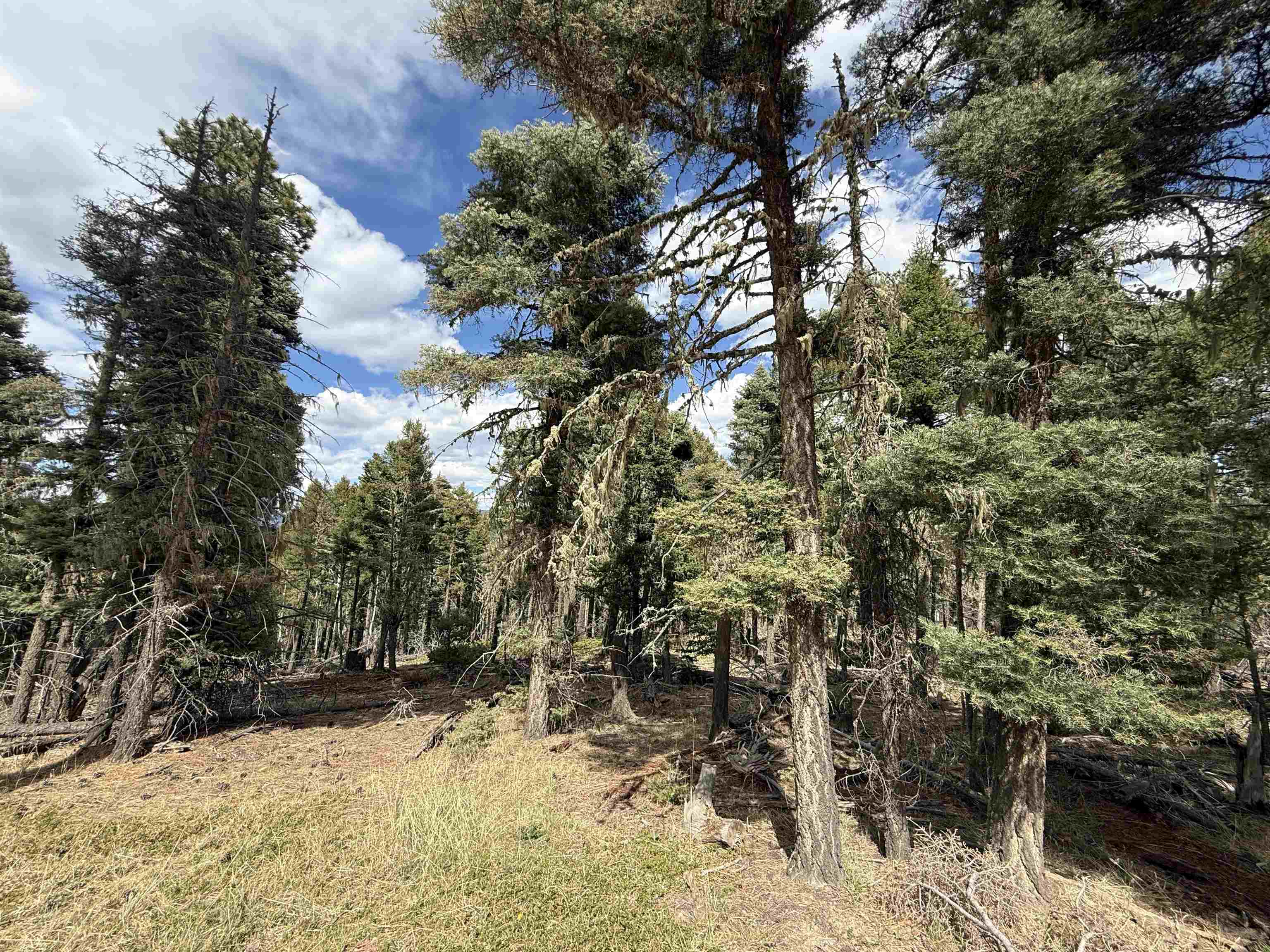 Lot 28 Calle de los Indios