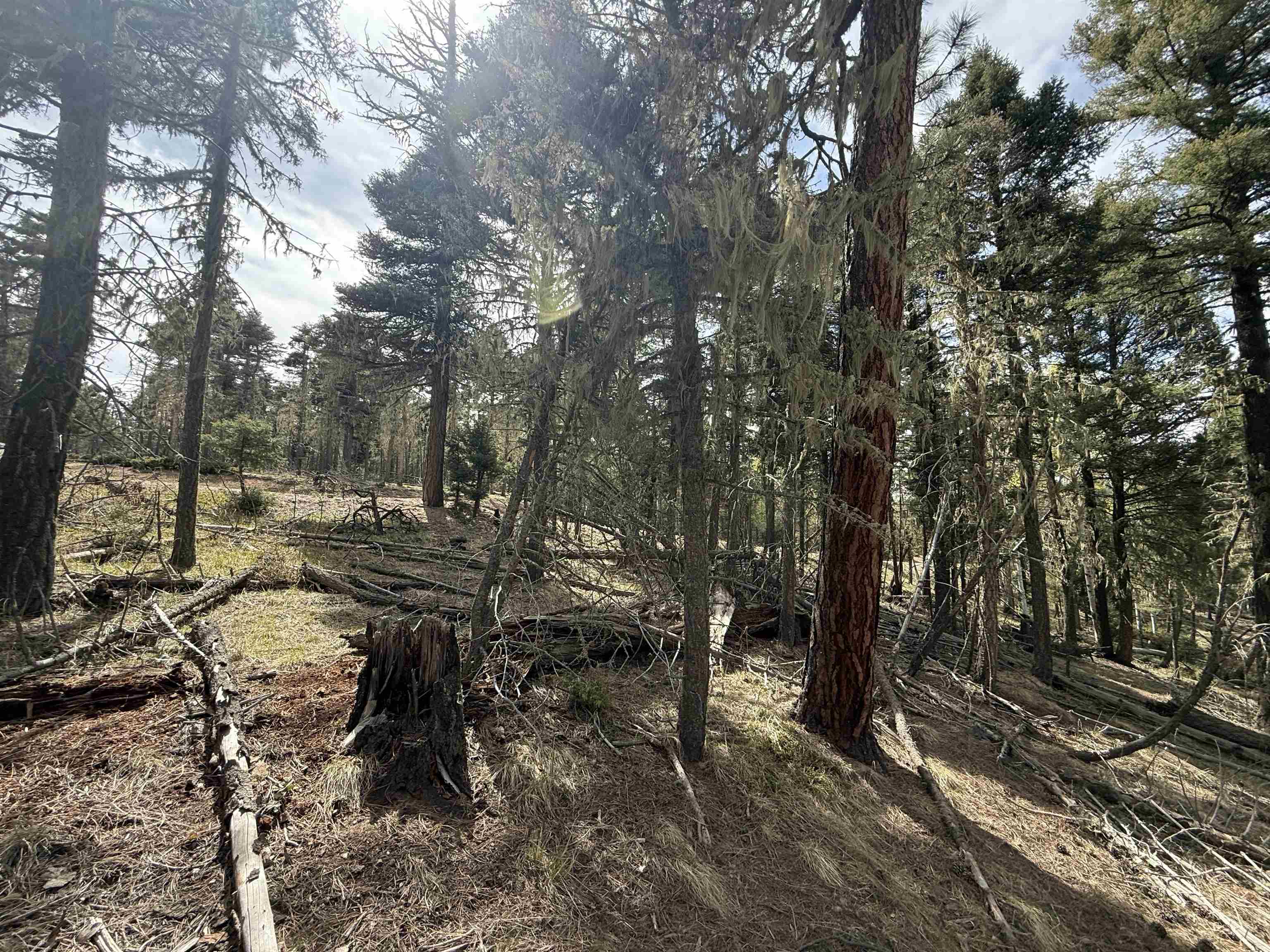 Lot 28 Calle de los Indios
