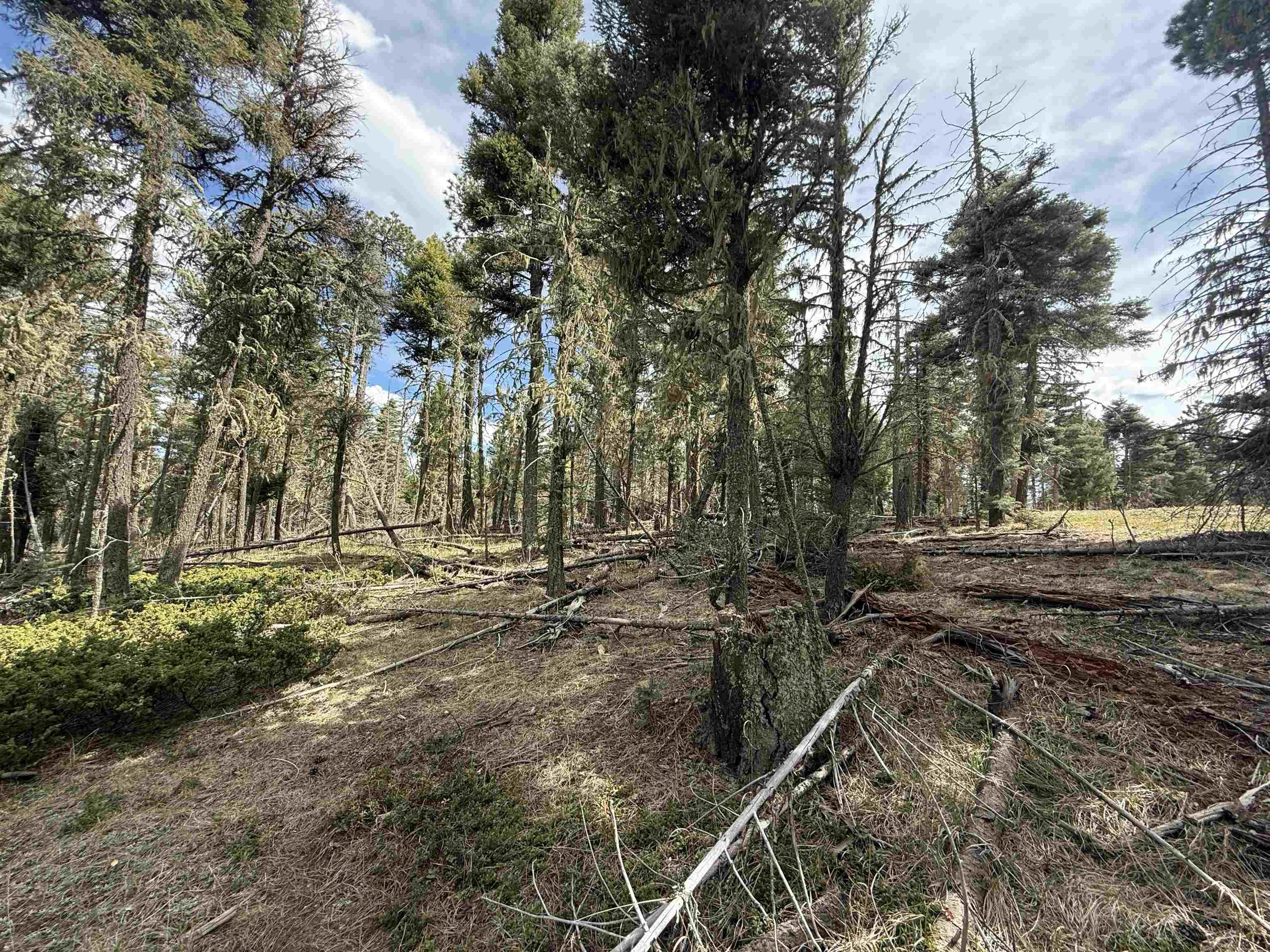 Lot 28 Calle de los Indios