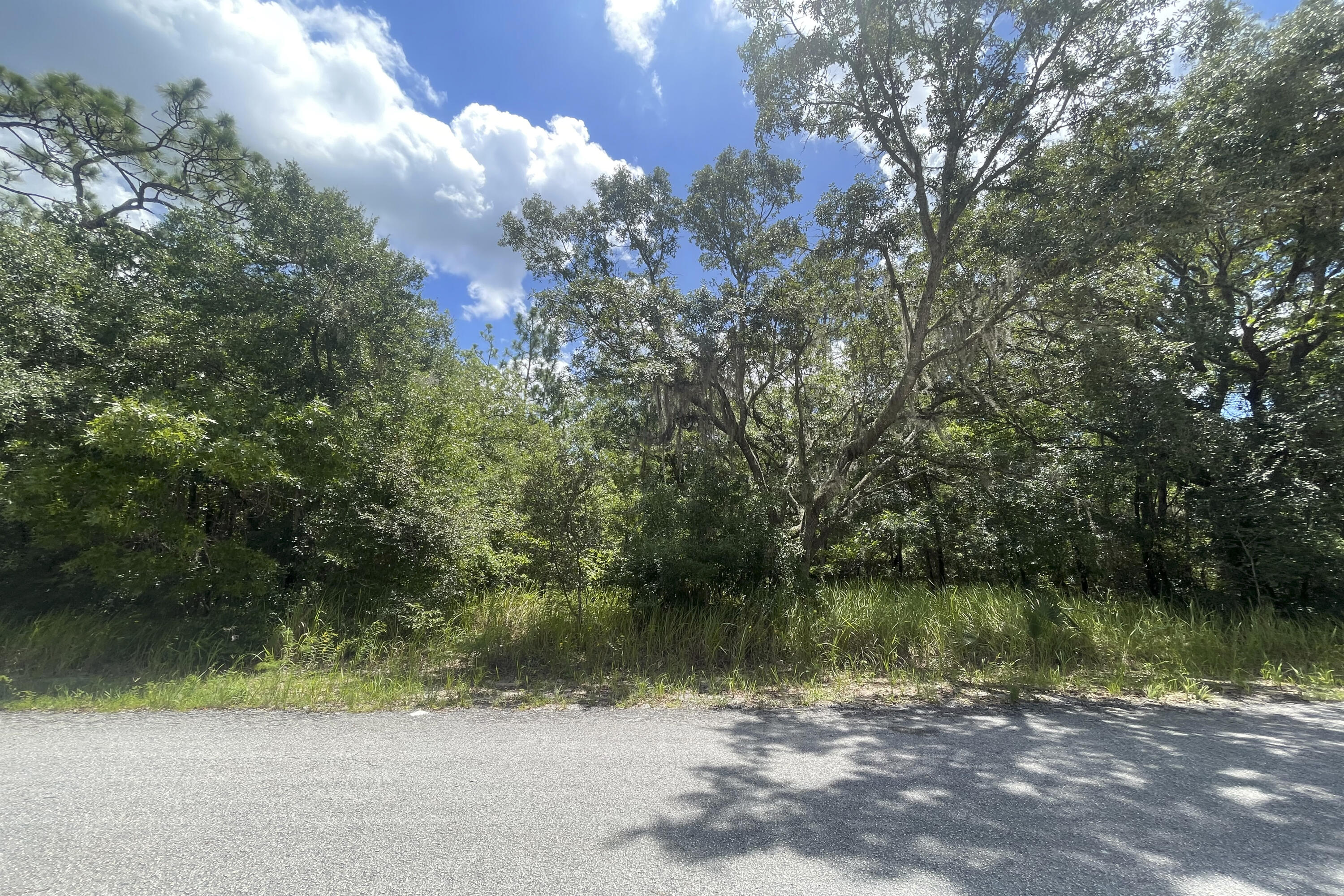 09 Silver Springs Shores 32