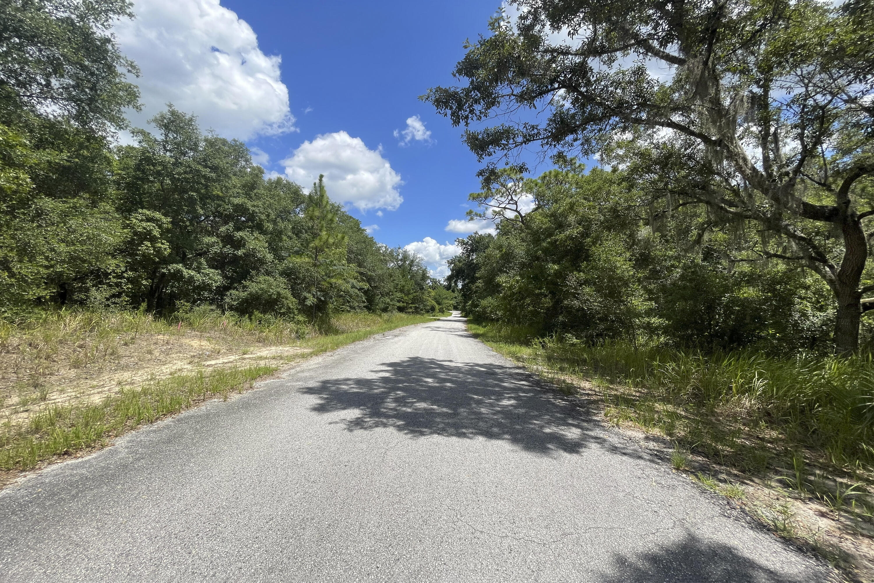 09 Silver Springs Shores 32