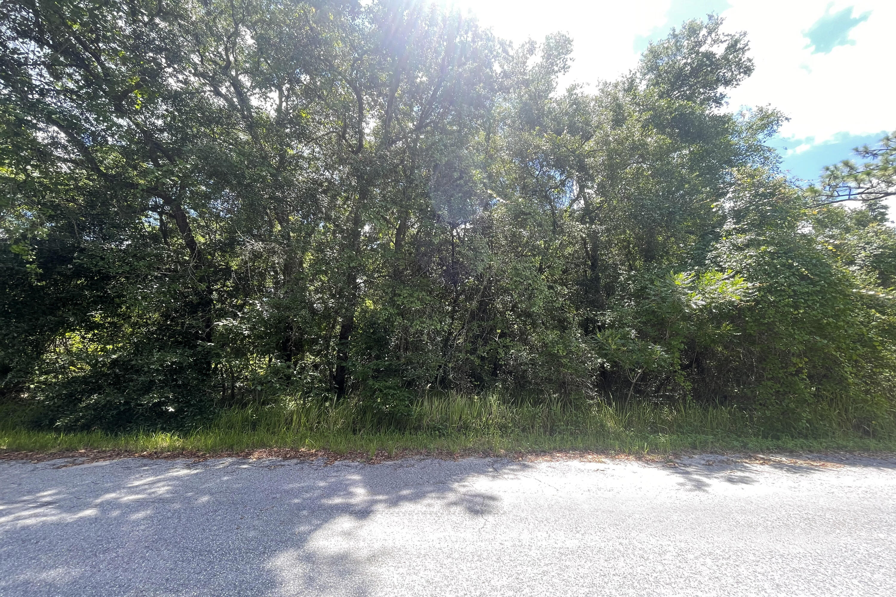 08 Silver Springs Shores 32